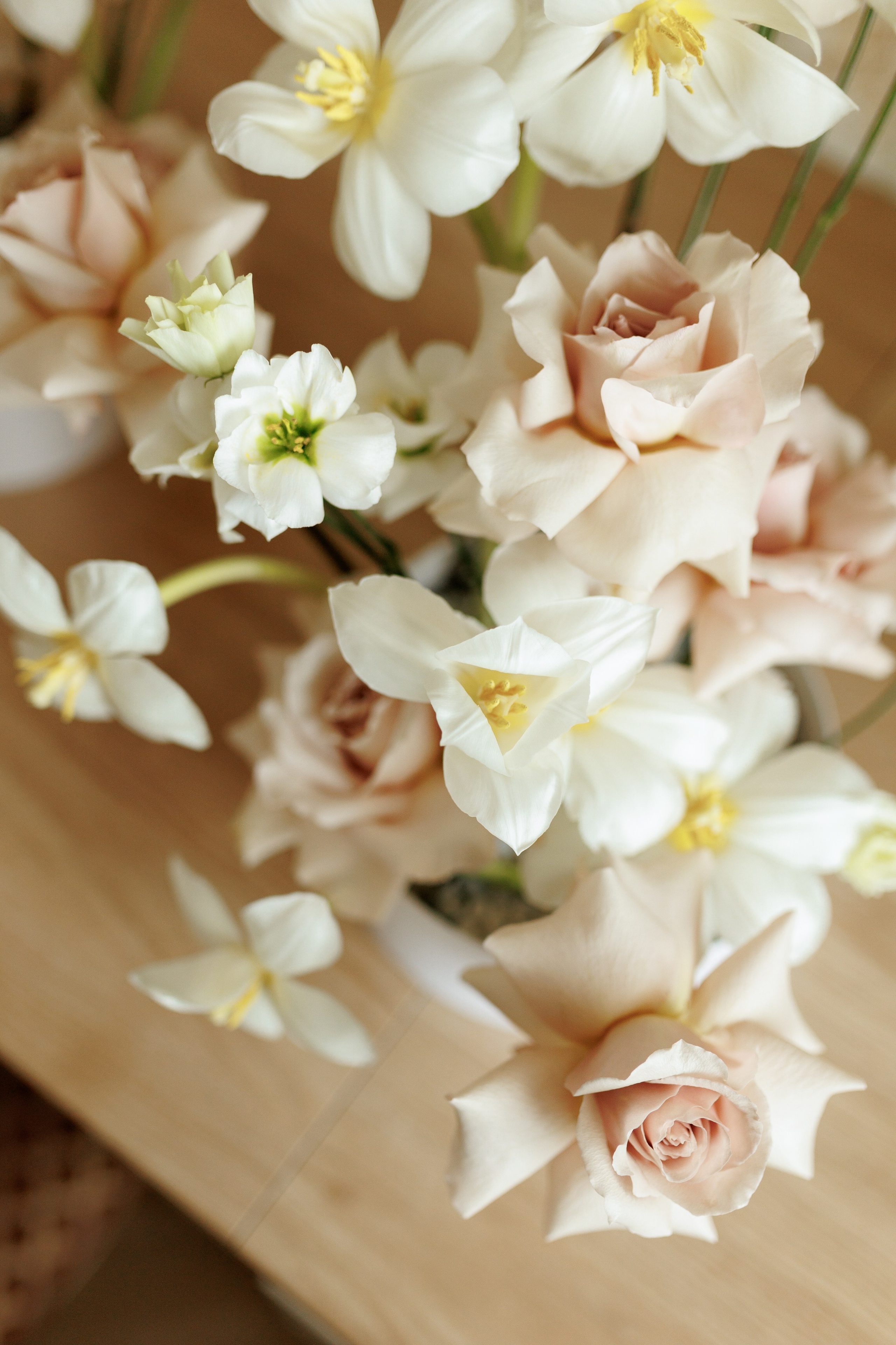 Екатерина и Александр. Щетинина Наталья свадебный фотограф Барнаул