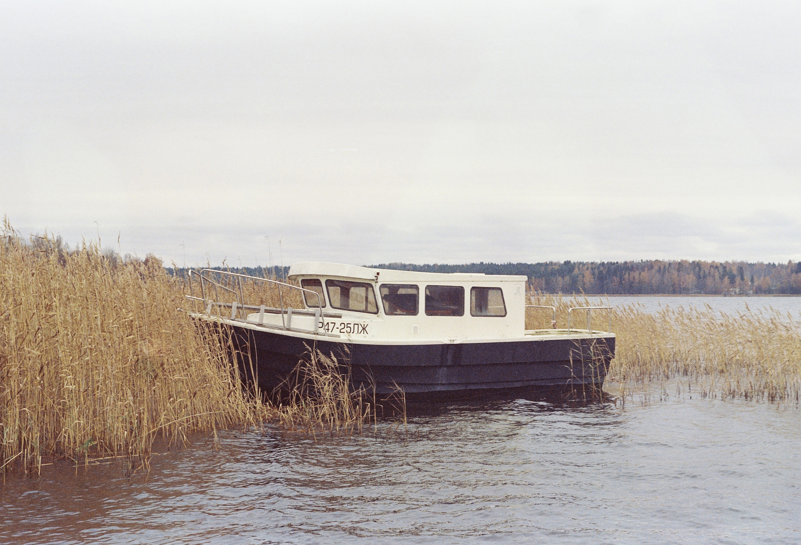 Съёмка на цветную фотопленку. Фотограф в Санкт-Петербурге и Москве Наталья Милли