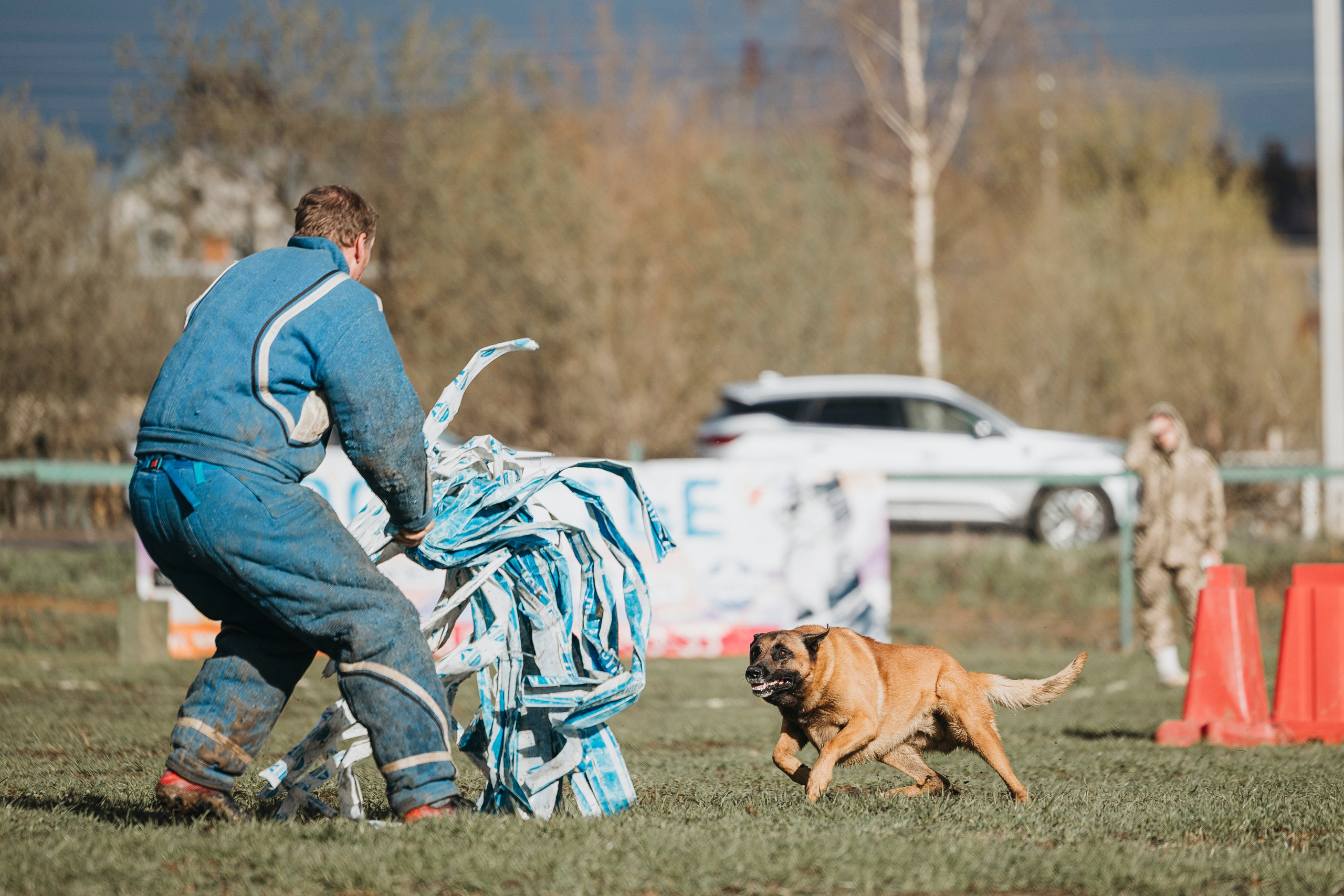09.05.25 Вологда соревнования. Фотограф-анималист Анна Маринич