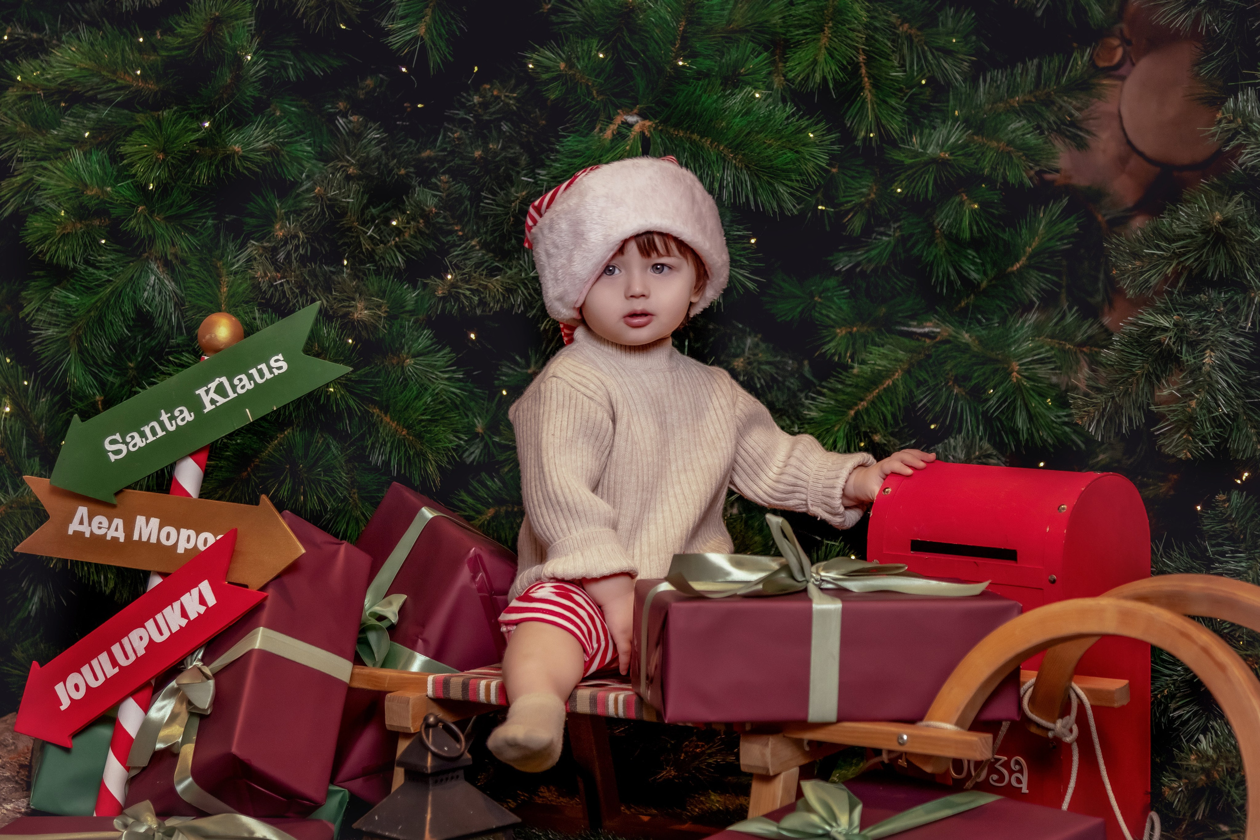 НОВЫЙ ГОД и Рождество в СТУДИЯХ. Фотограф Алина Лебедь