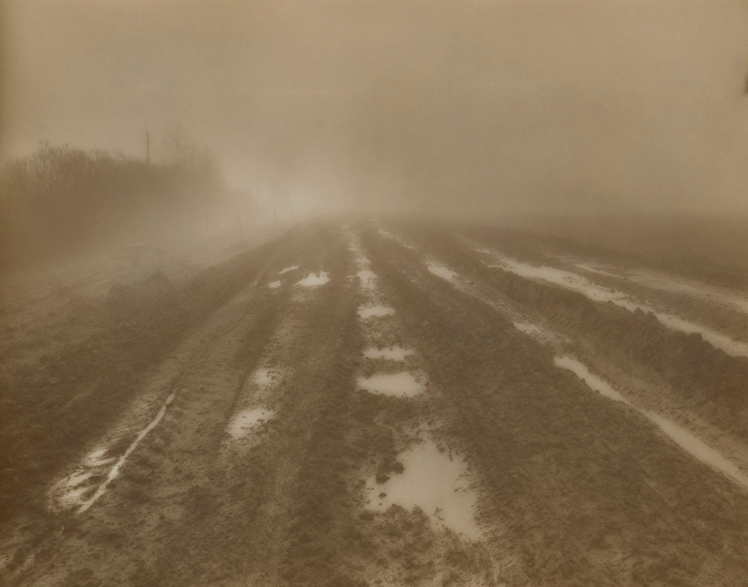 Sepia. Gueorgui Pinkhassov