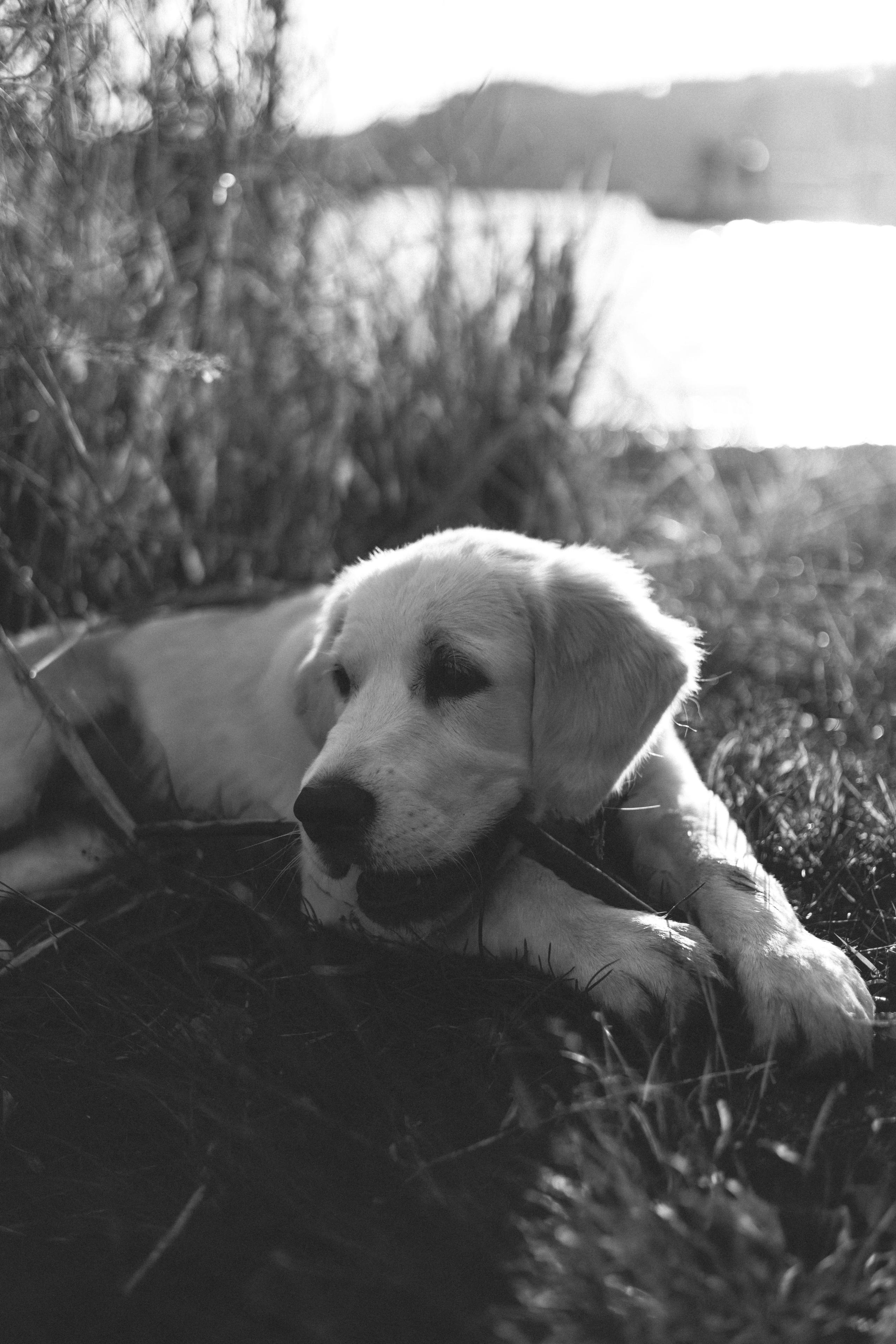 Ленни. Фотограф Челябинск