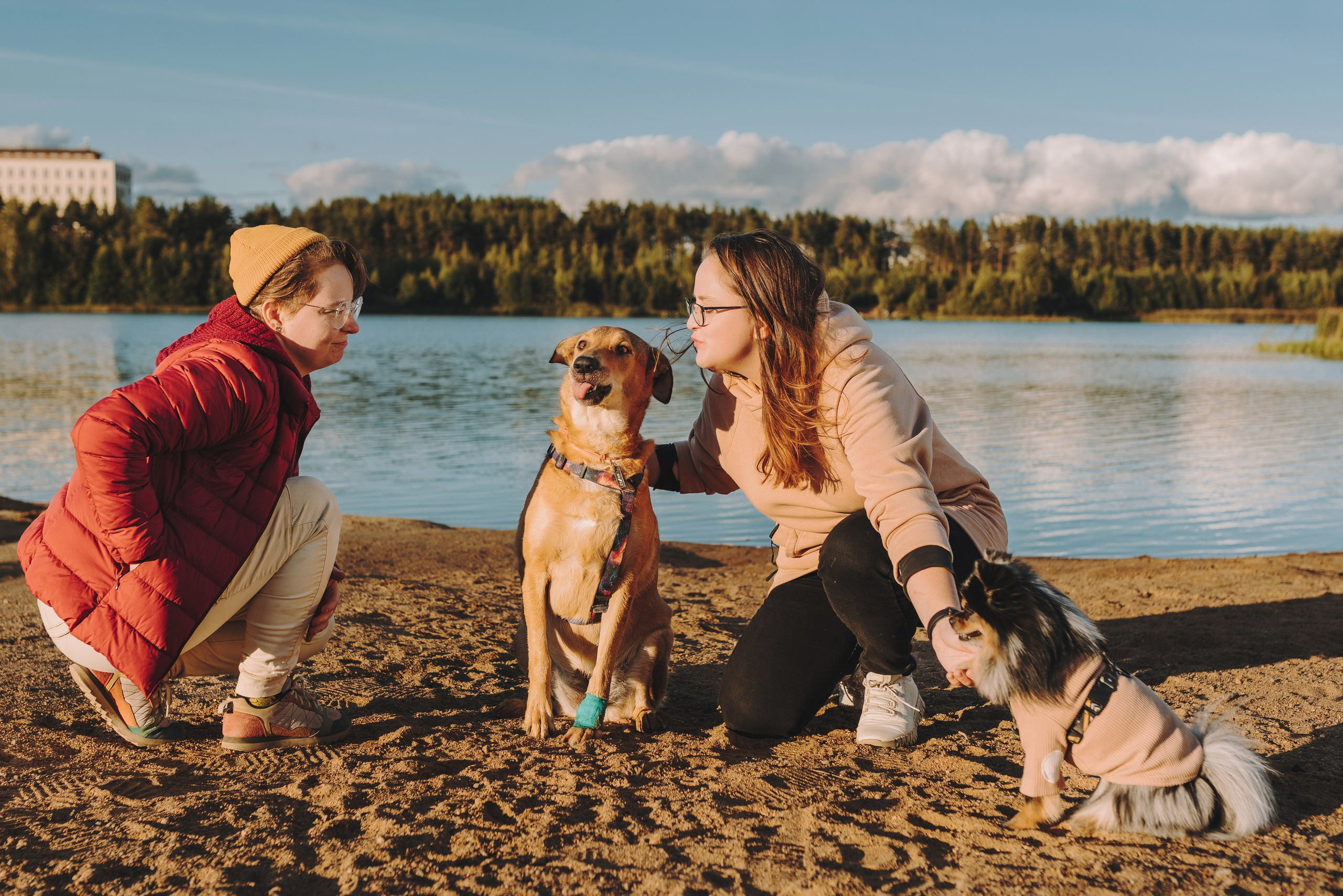 Семейная фотосессия с двумя собаками на закате. Фотограф анималист в Спб недорого Олеся Майорова