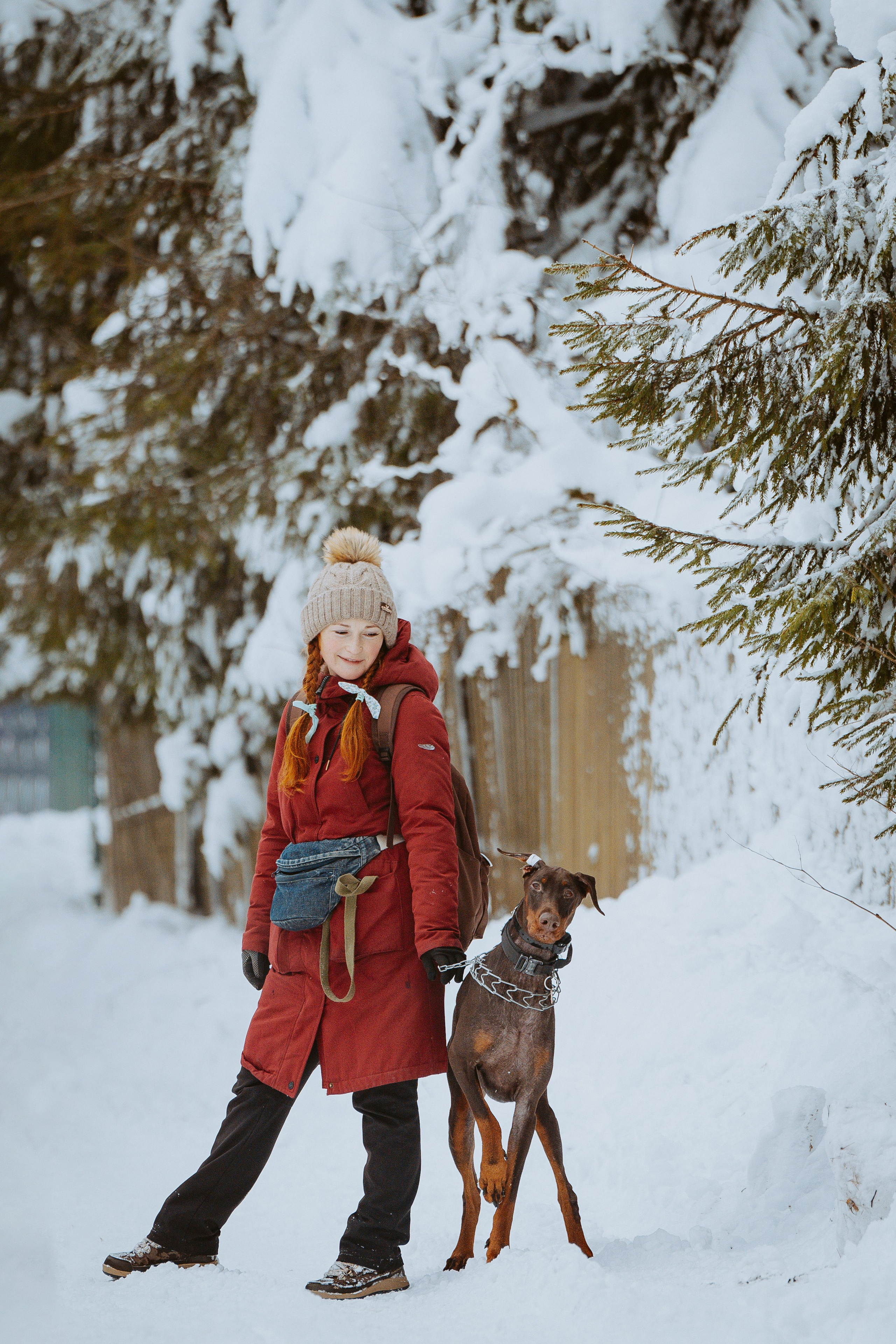 Дог трекинг. Фотограф анималист в Спб недорого Олеся Майорова