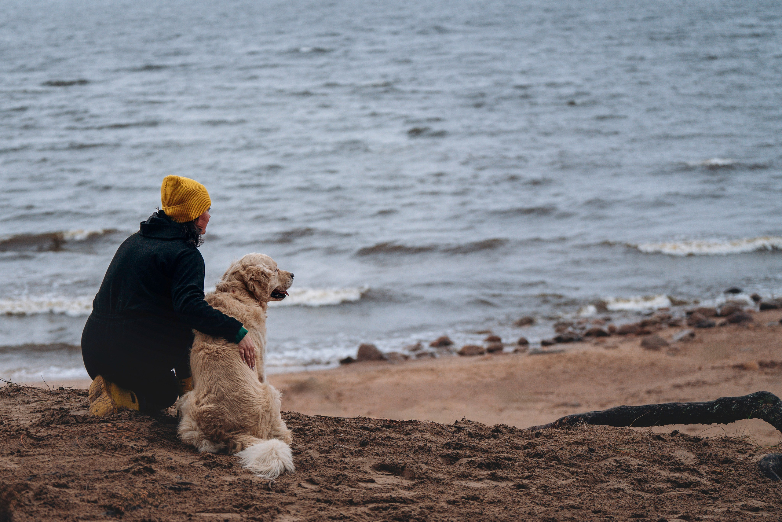 Асти, Крис и Александра. Фотограф анималист в Спб недорого Олеся Майорова