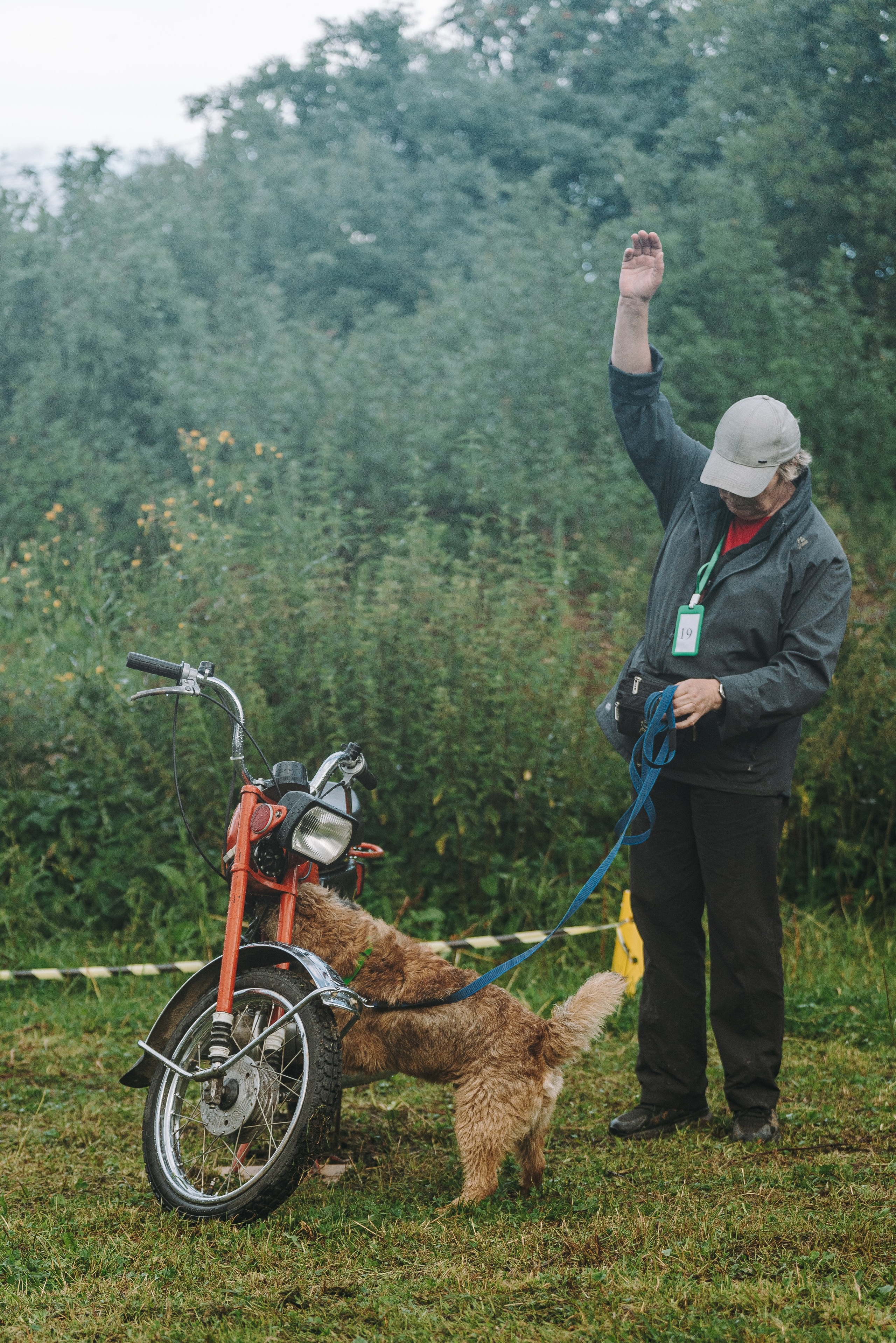Соревнования по ноузворку в Новожилово. Фотограф анималист в Спб недорого Олеся Майорова