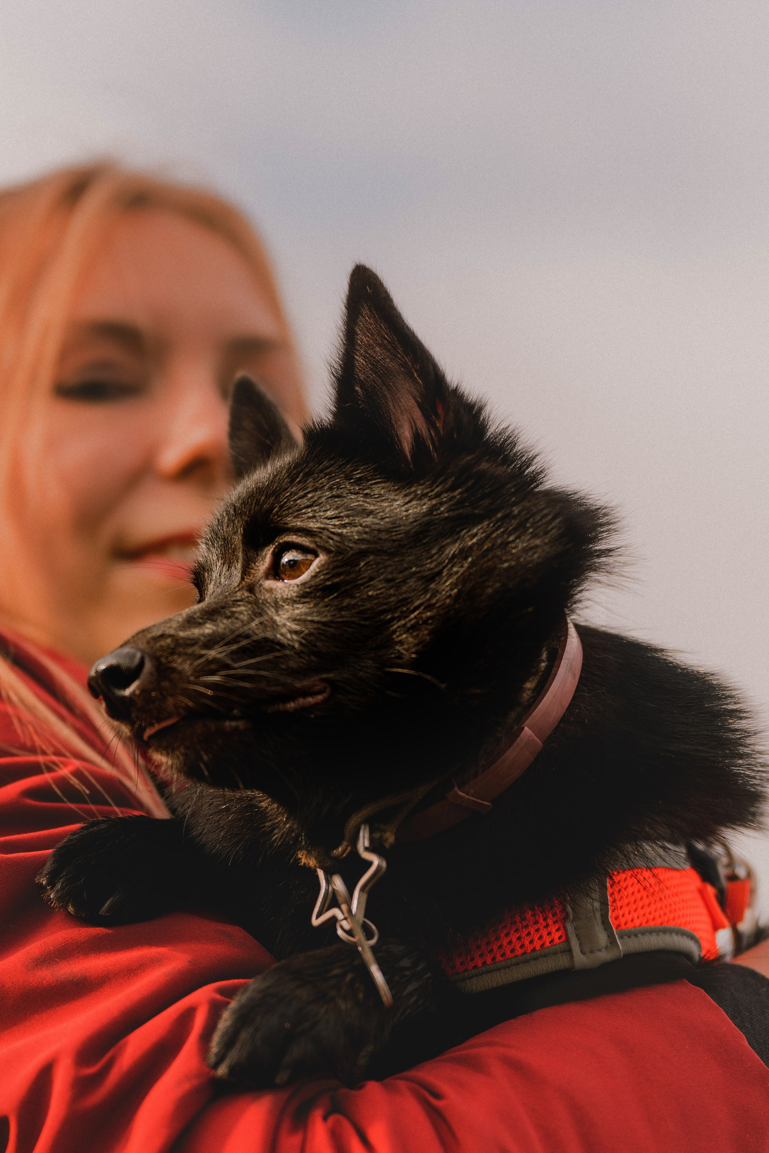 Евгения и Акула. Фотограф анималист в Спб недорого Олеся Майорова