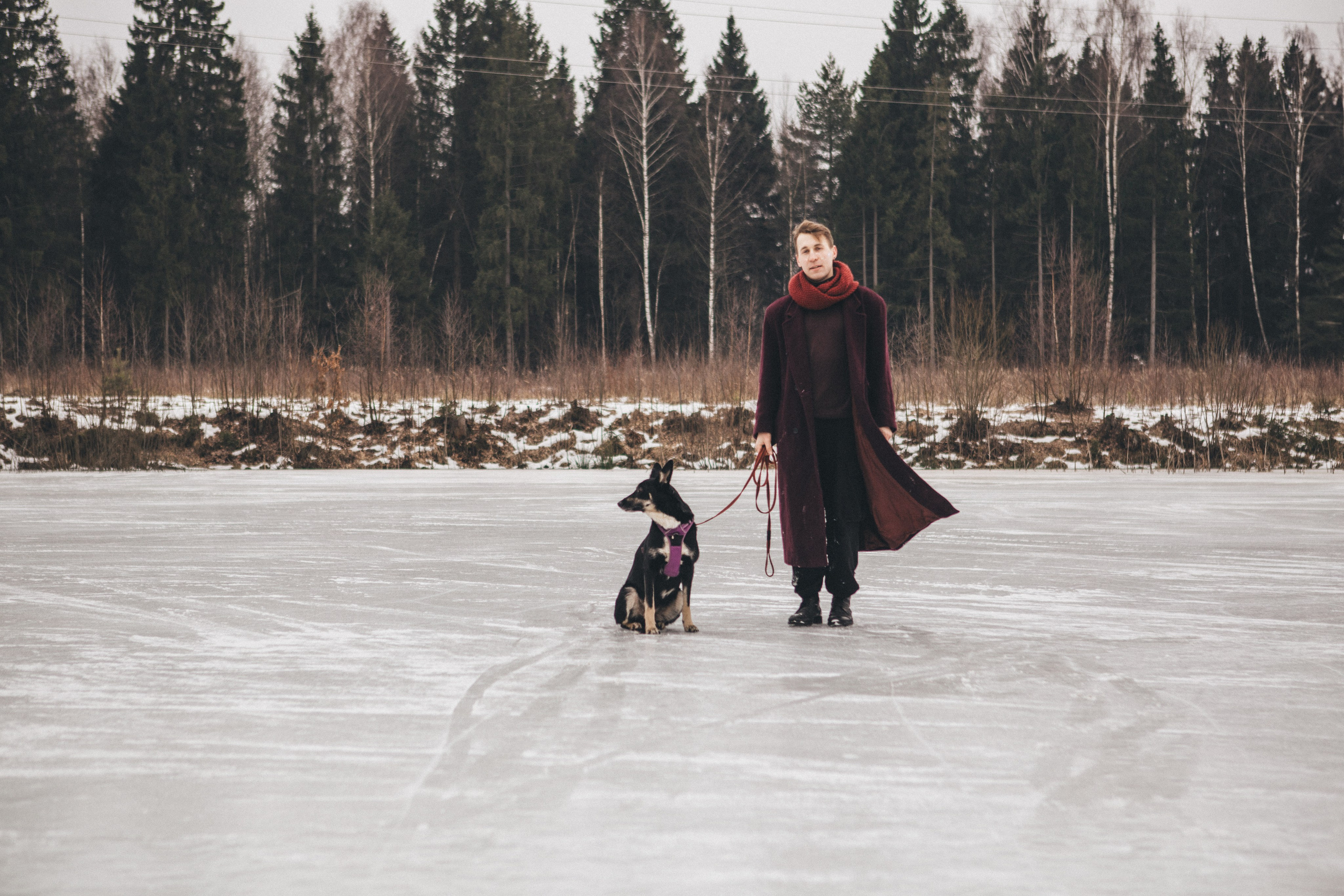 A cinematic tale of true love and unbreakable friendship between a man and a dog. Portrait, family and pet photographer in Cyprus, Ksenia Bourdelle
