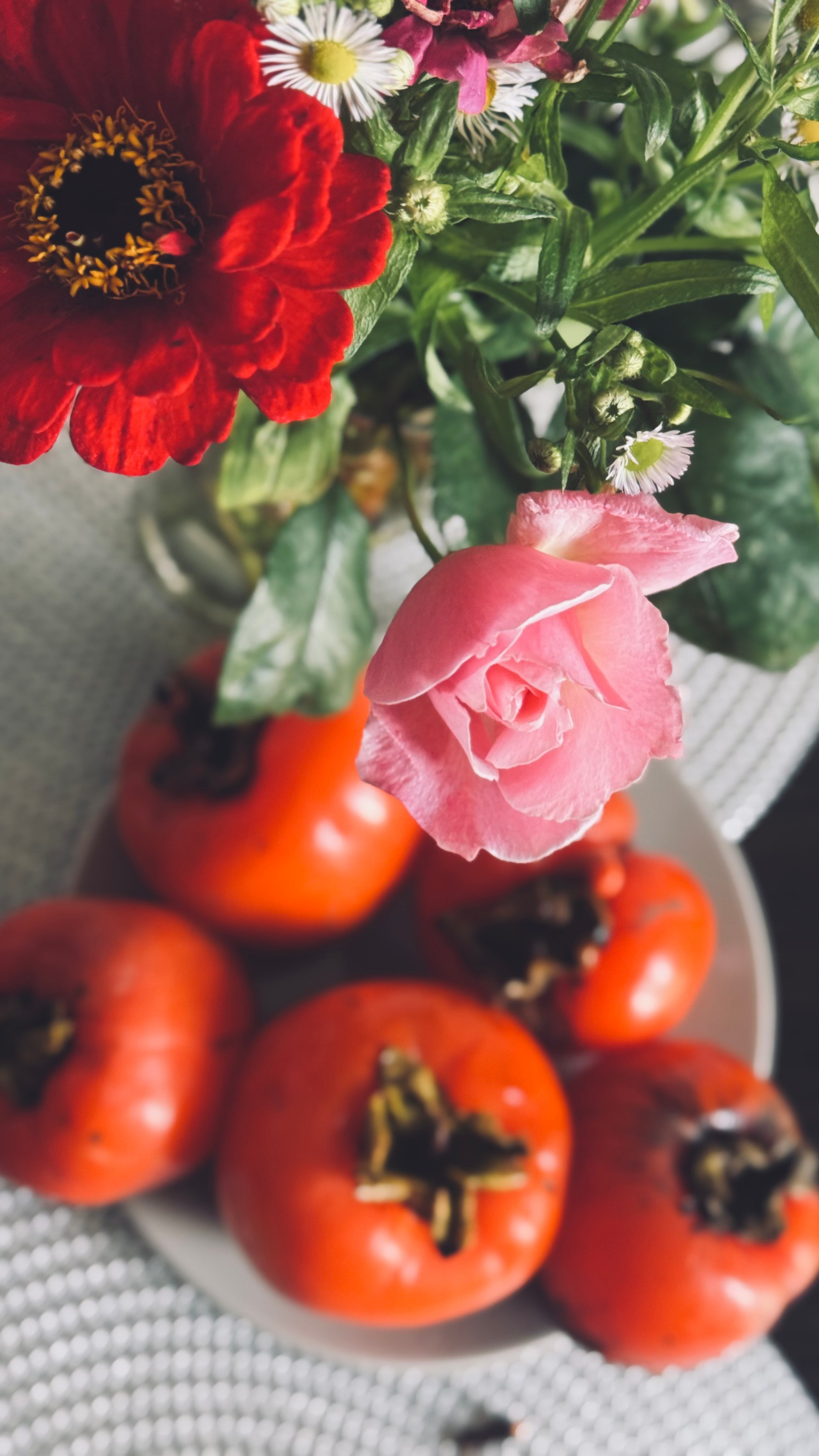 Ботаника. Фотограф • Елена Миронова