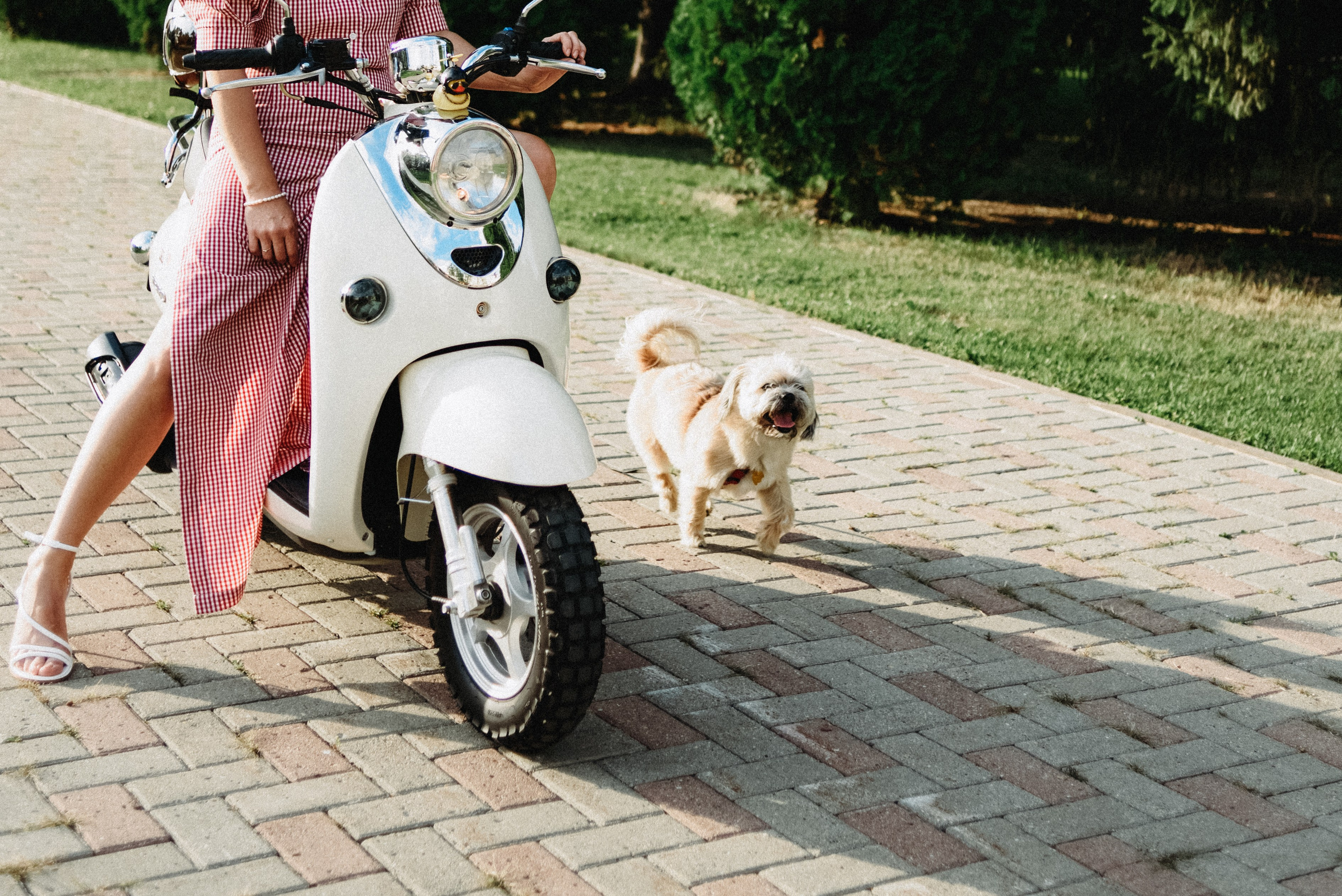 Евгения. Фотограф Дарья Мустафина, Тюмень