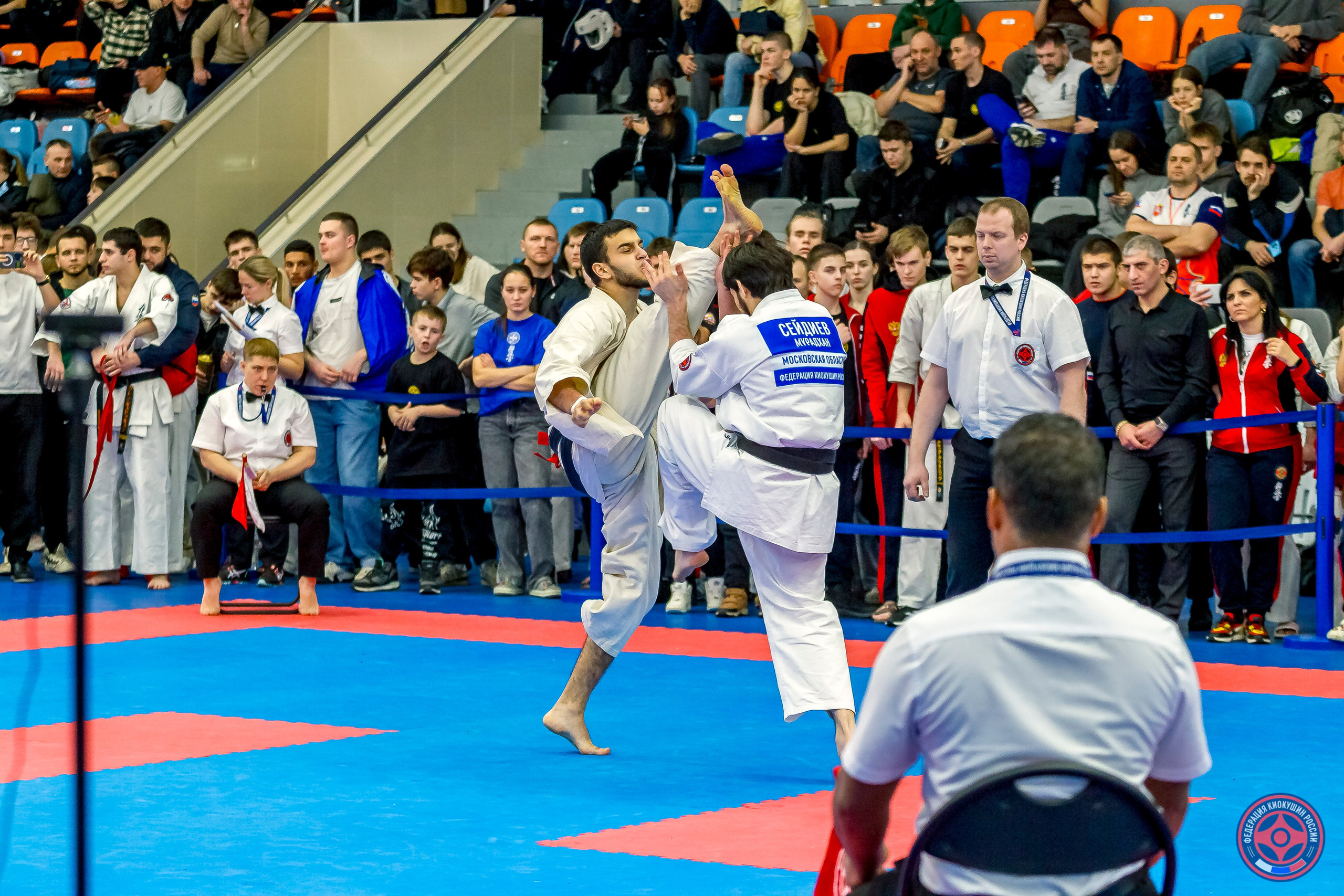 Международный турнир по киокушин «Открытый кубок Seiken». Репортажная съемка в Москве и области. Анималистика