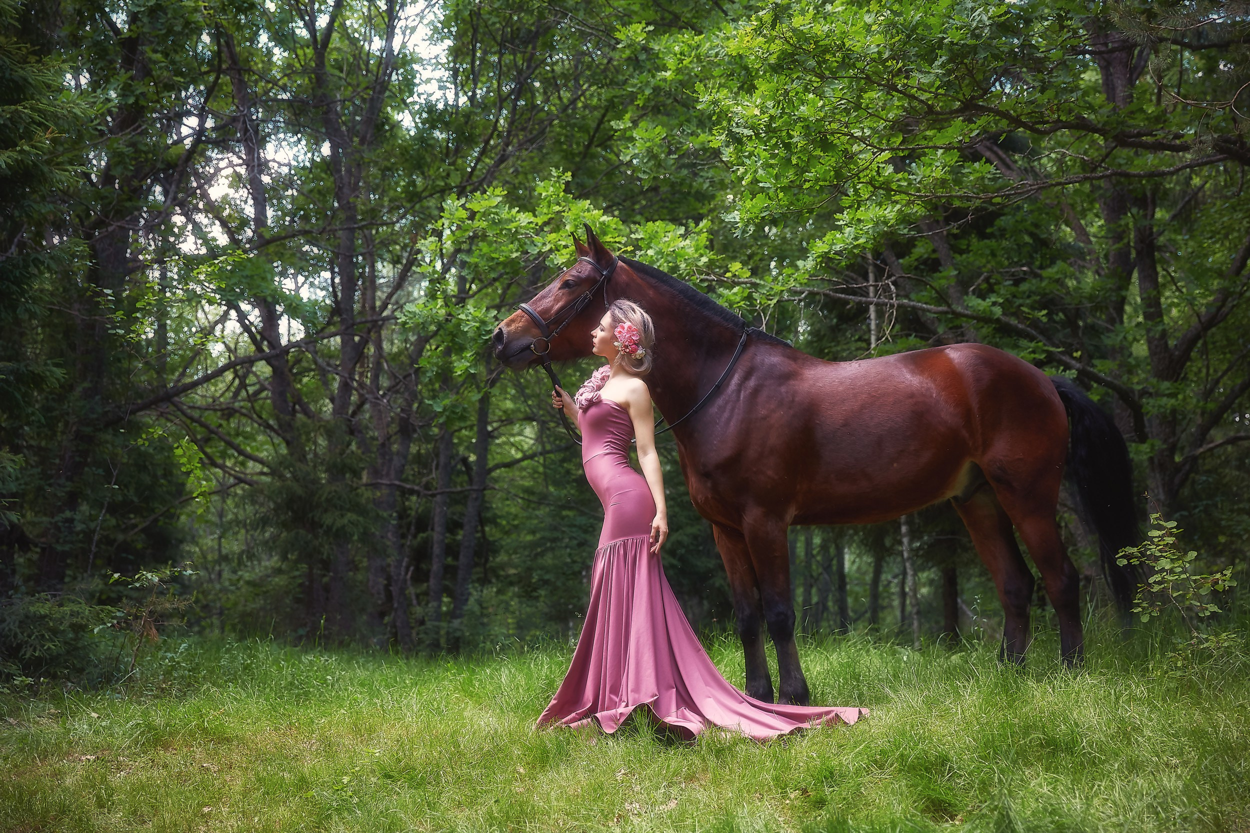 Фотосессия с лошадьми Фотограф Михаил Семенов