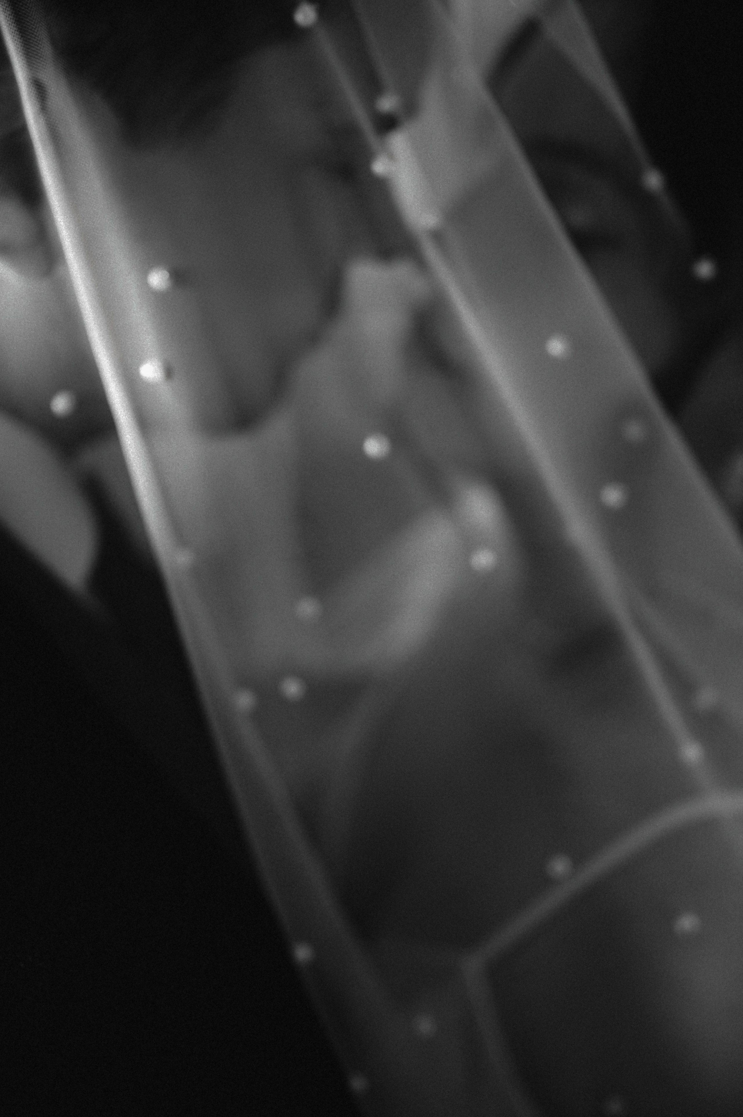 Вот и ЦДК Щелково открыли для свадебной регистрации, а прогулялись мы в Усадьбе Гребнево. Свадебный и семейный фотограф Виктория Носачёва. Щелково, Москва и МО