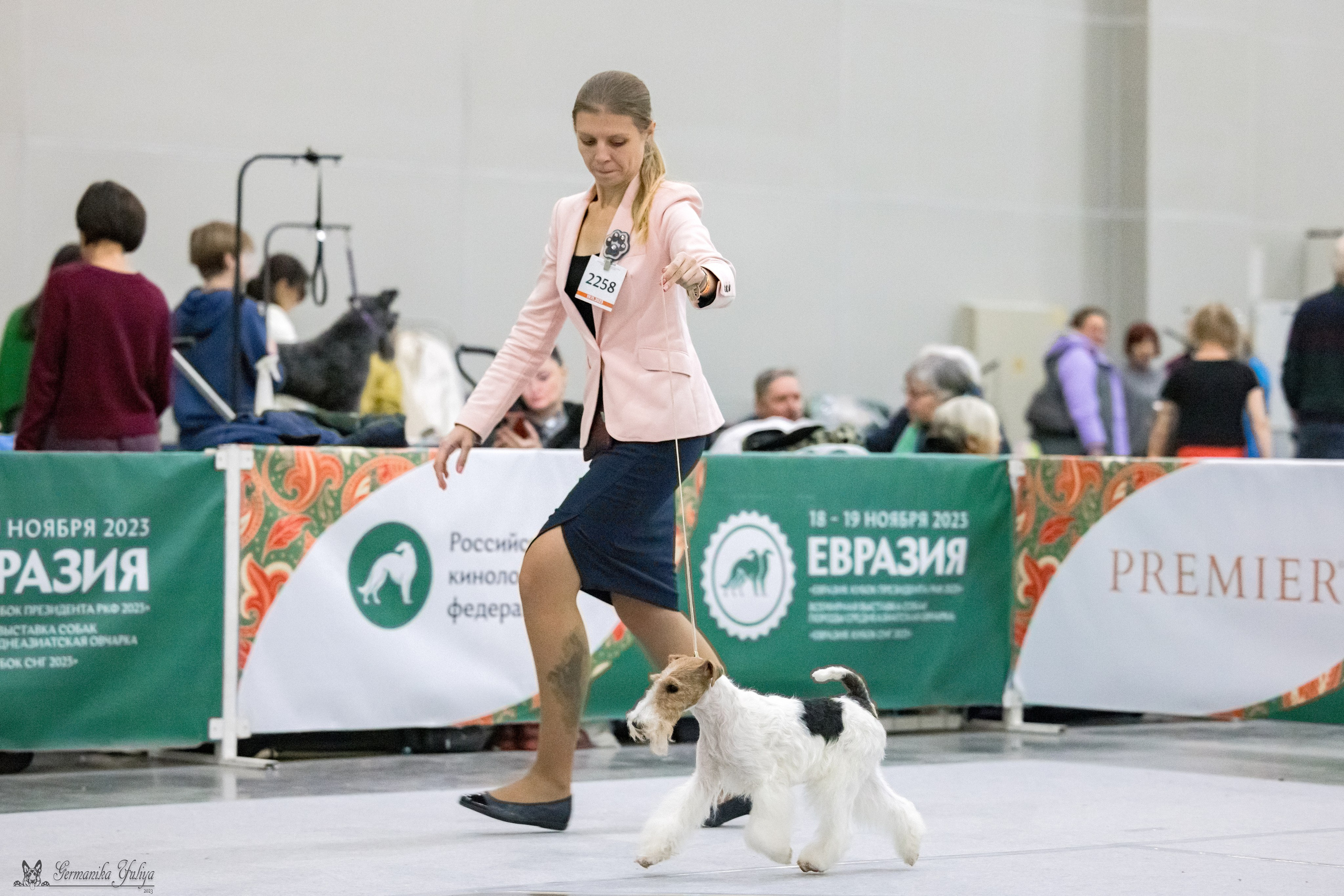 ЕВРАЗИЯ 18-19.11.2023. Фотограф-анималист Юлия Германика