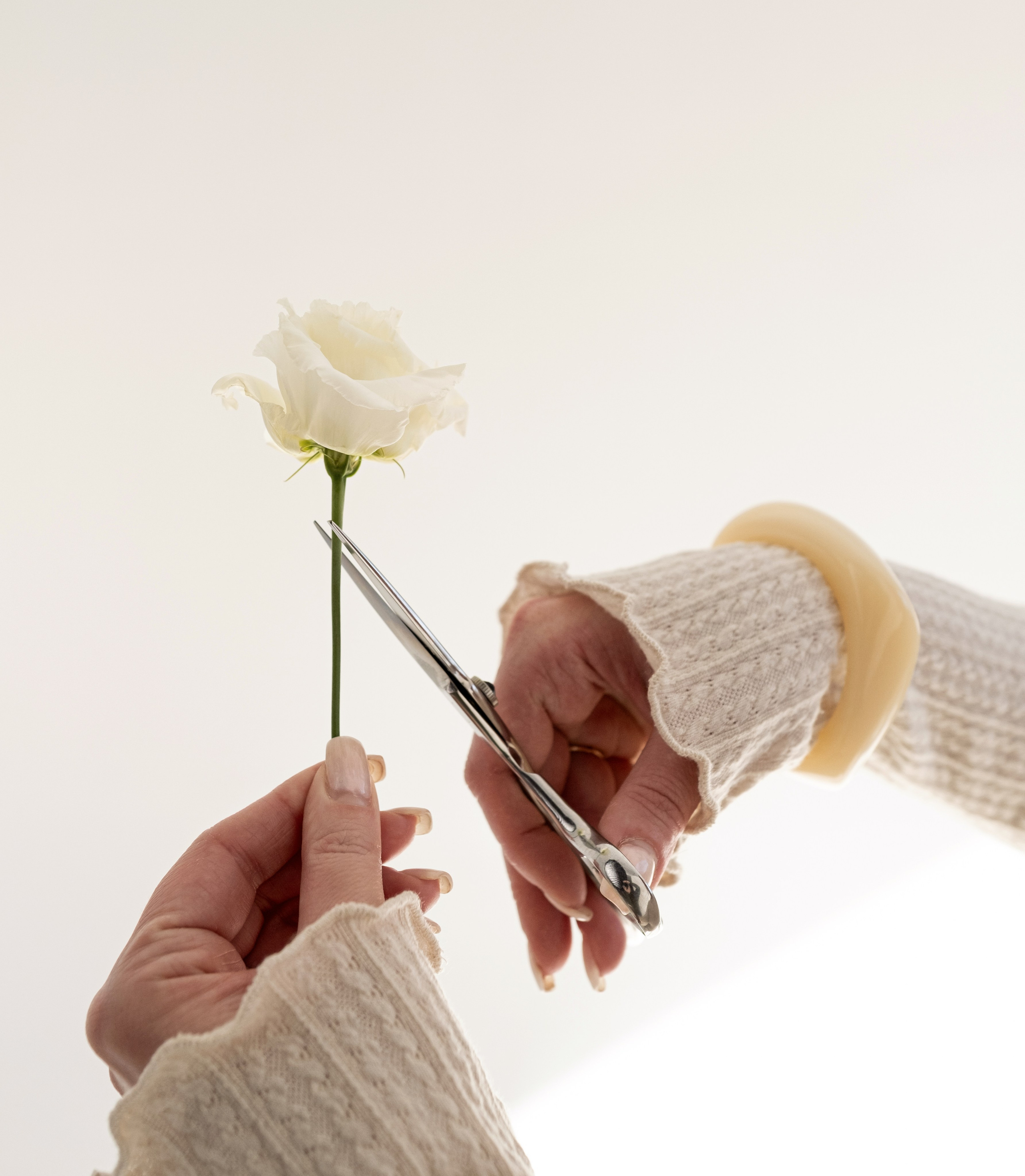 Коммерция и групповые. Фотограф в Коврове и области Филенкова Дарья