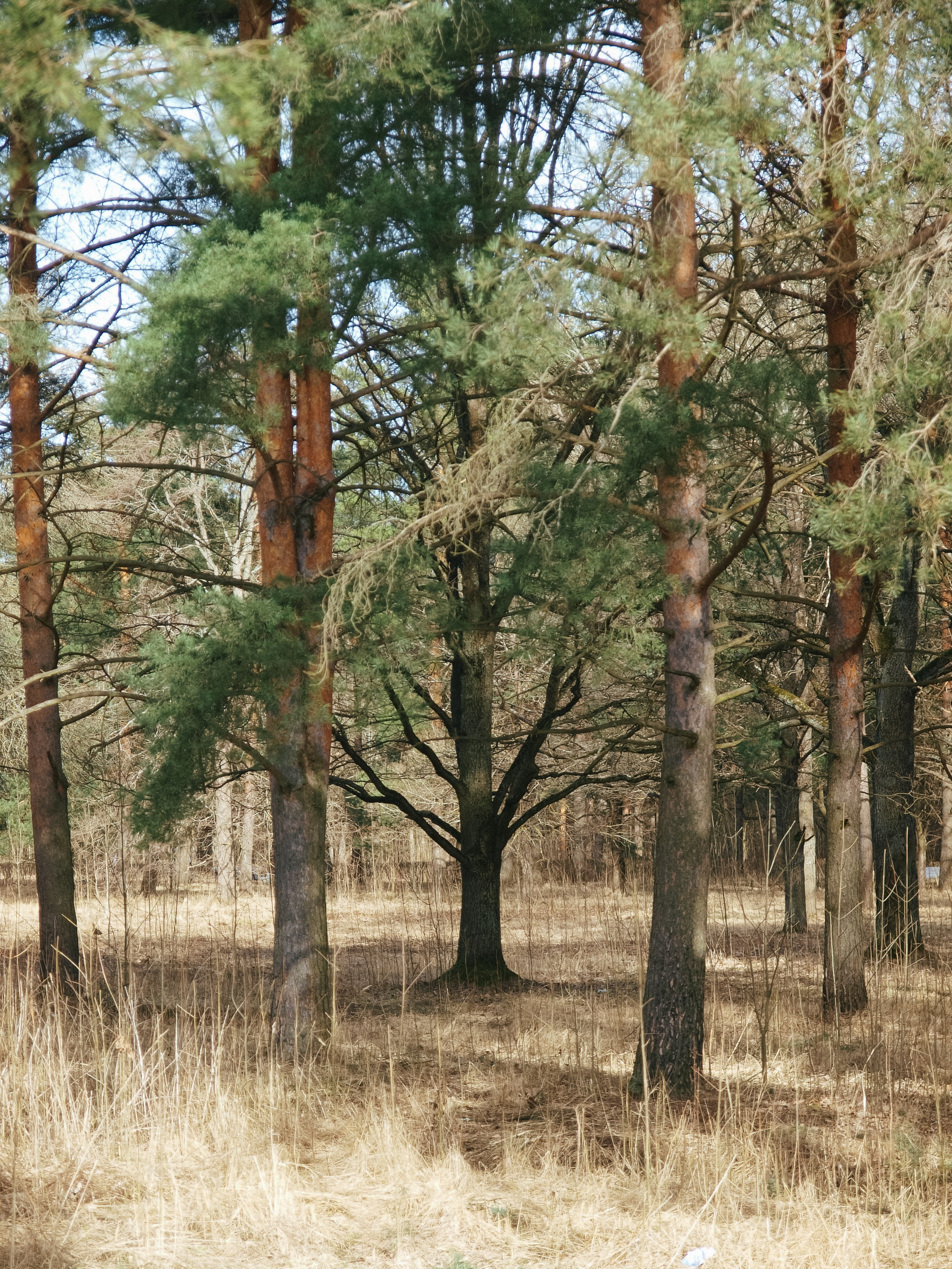 Прогулки по Петергофу — Olympus E-3 / Zuiko 14-54. Famitsu