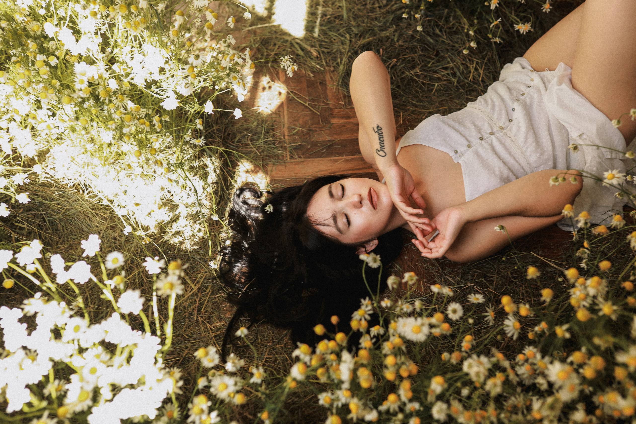 Сон в летнюю ночь | Ромашковое поле