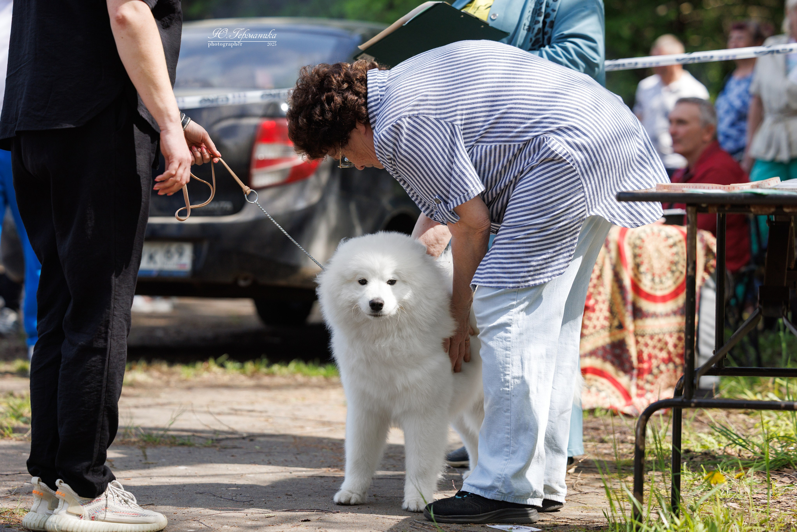 Тверь 24.05.2025. Фотограф-анималист Юлия Германика