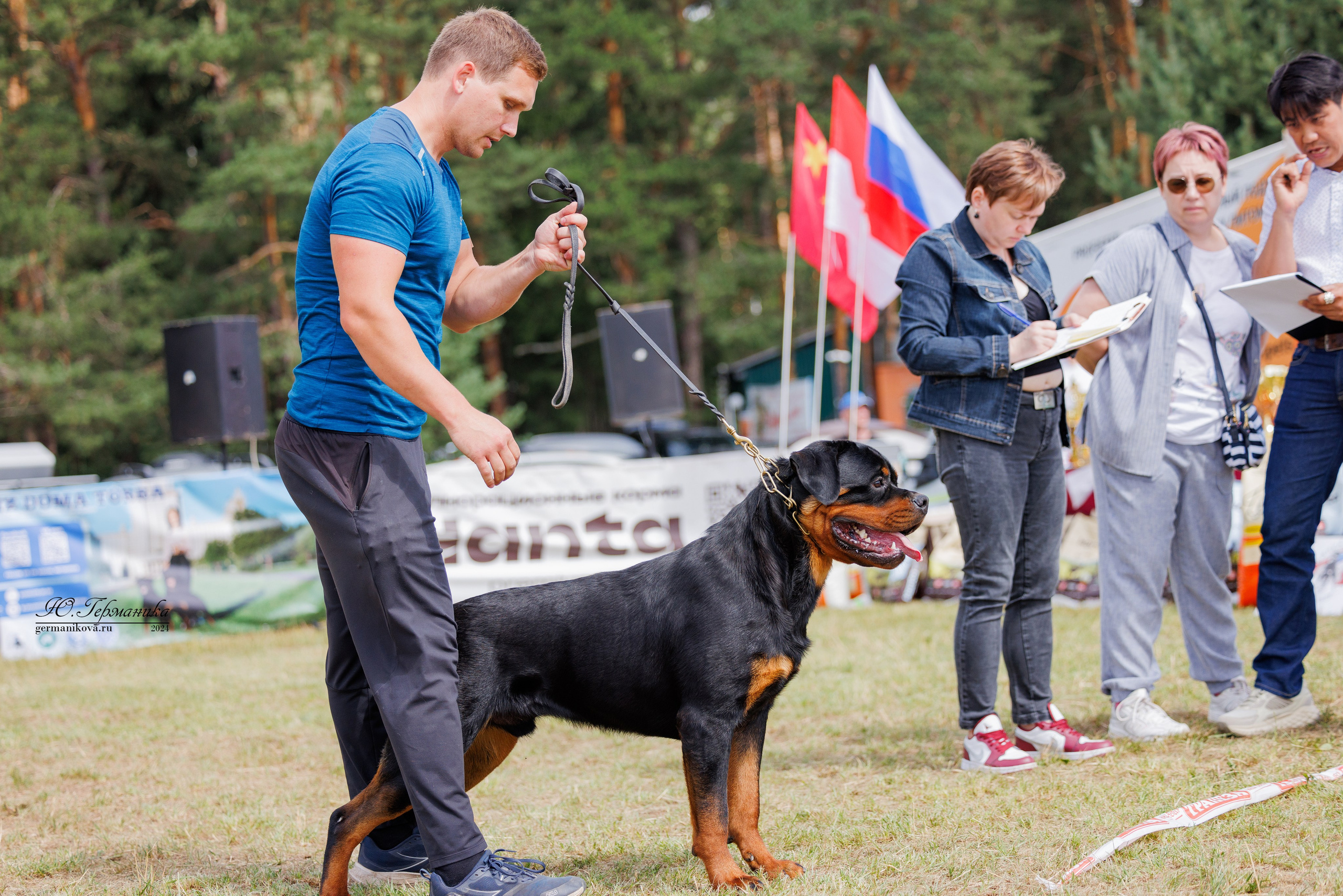 ПК и КЧК ротвейлеры Тверь 6-7.07.2024. Фотограф-анималист Юлия Германика