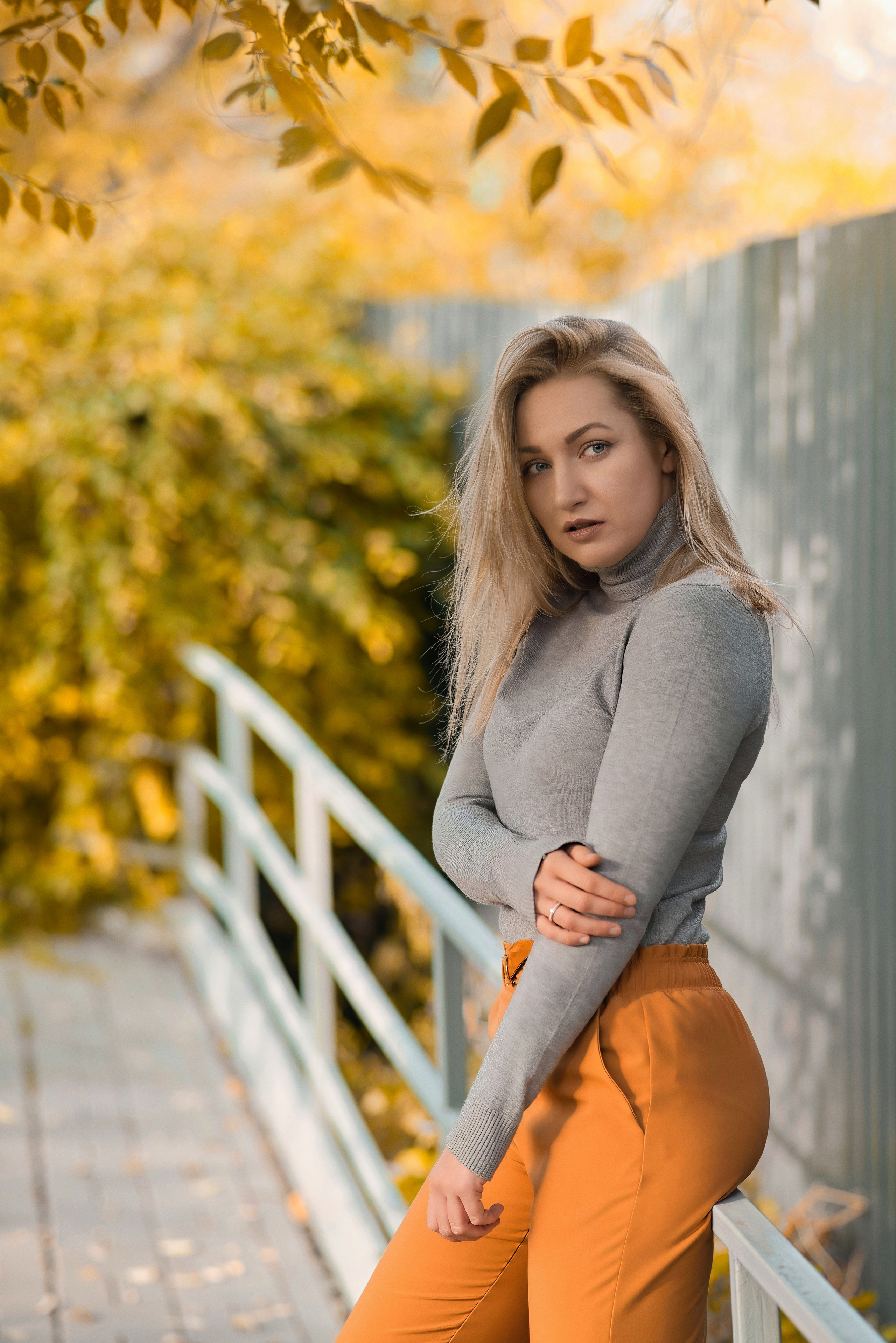 Осень цвета горчицы. Фотограф Денис Кривопусков