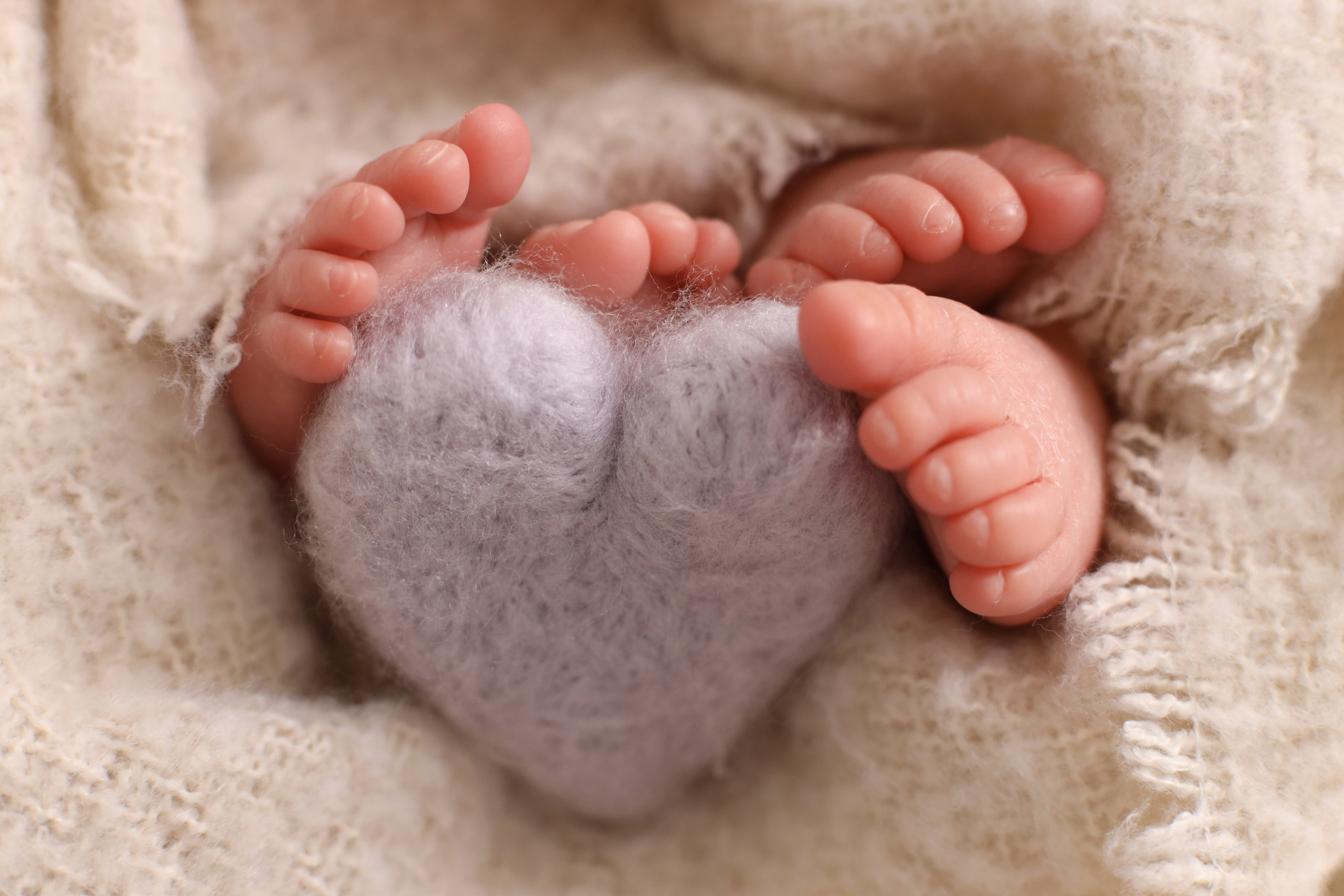 Арсений и Васислиса 16 дней. Семейный фотограф и фотограф новорожденных в Санкт-Петербурге Алина Фе