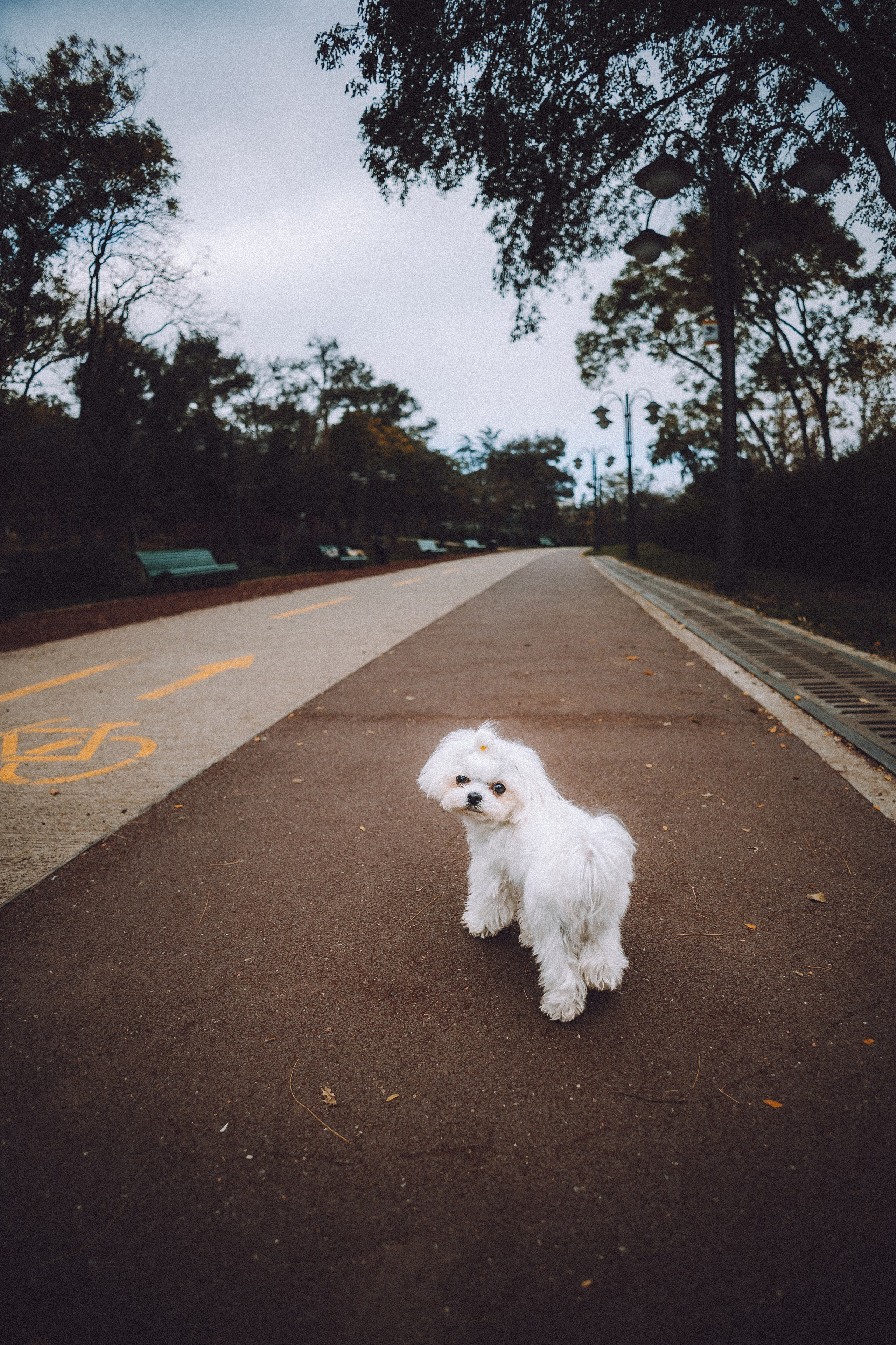 Настя и Гоша