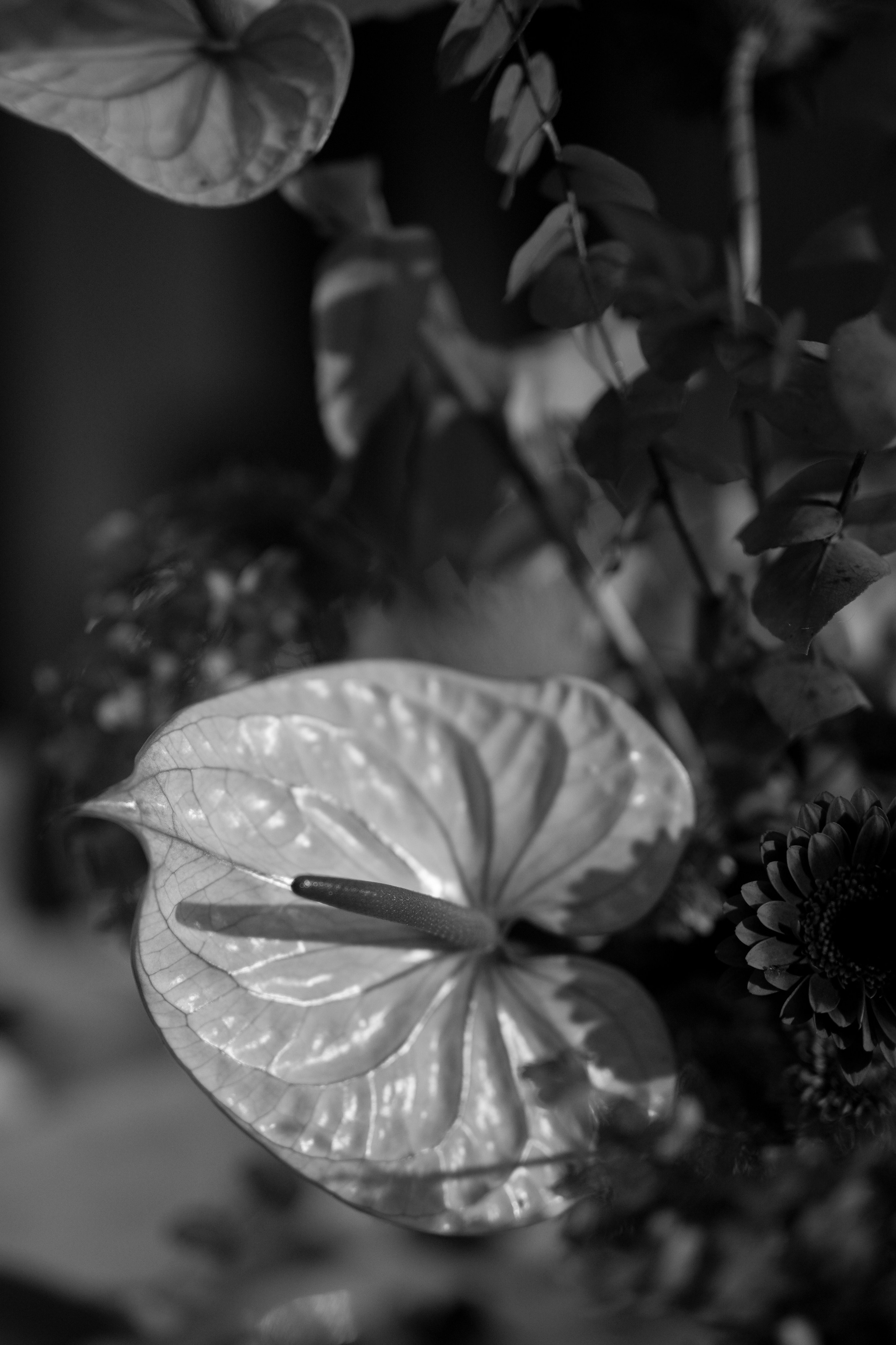 Валерия и Денис. Свадебный фотограф Марина Попова