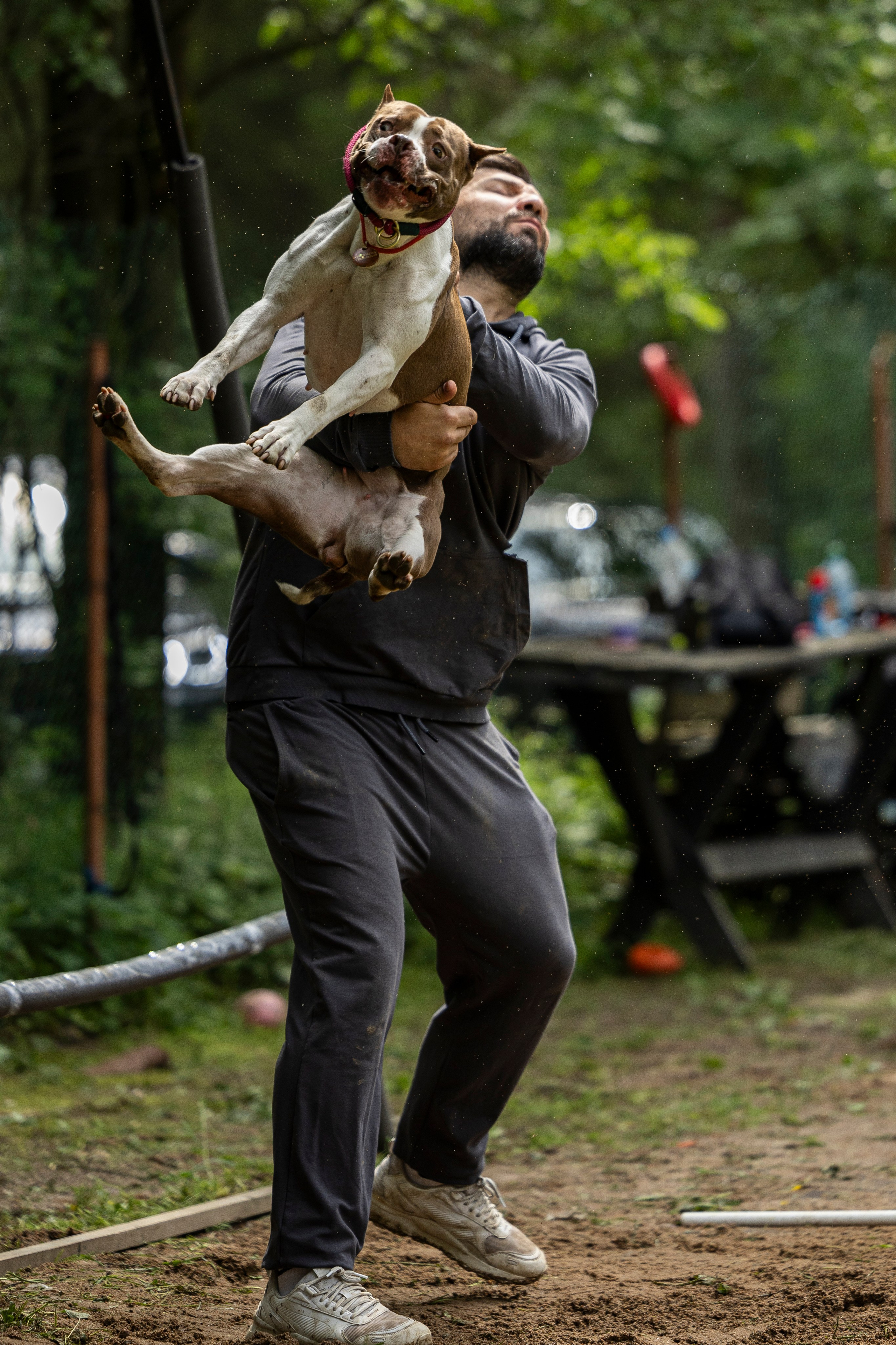 Пит-стафф многоборье. Фотограф-анималист Анна Маринич