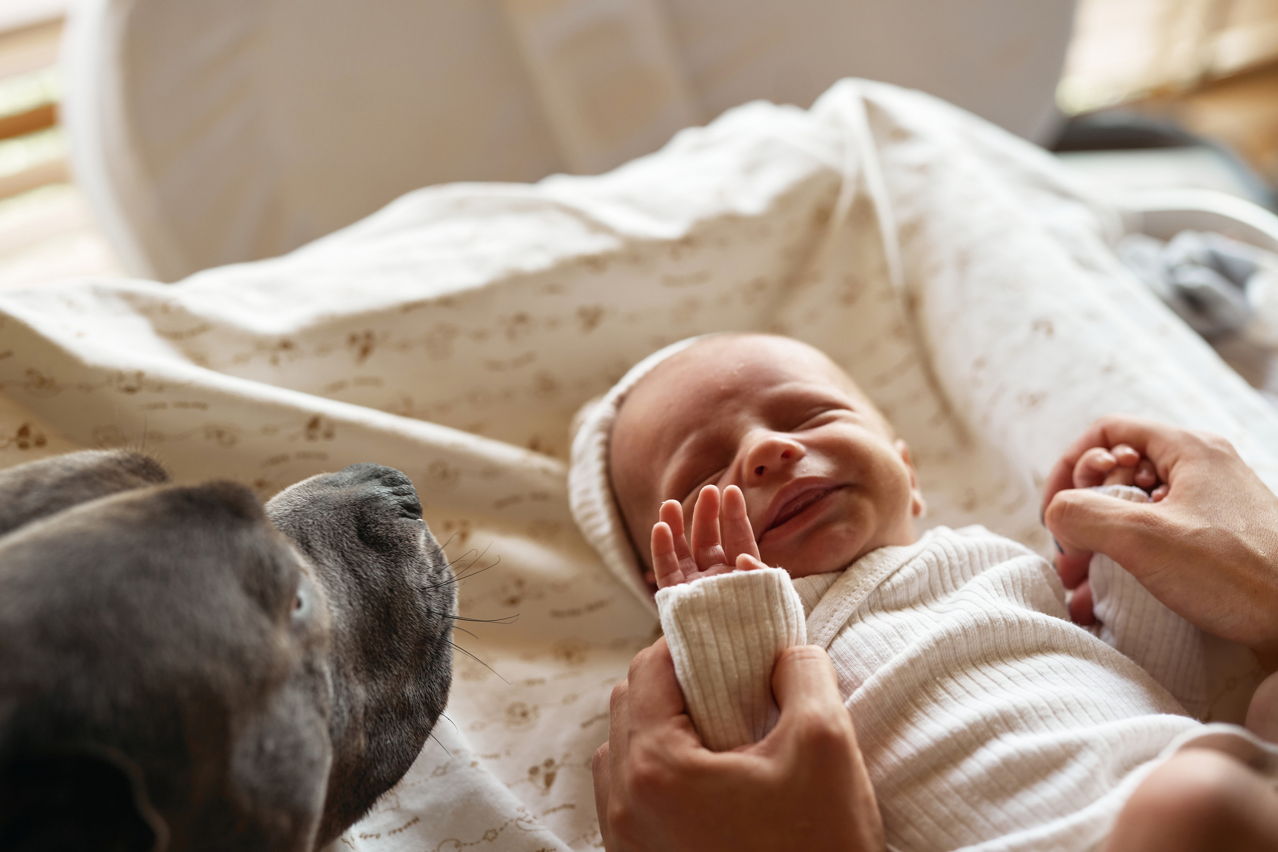 NewBorn. Семейный фотограф Новороссийск, Анапа, Геленджик Мария Колесниченко