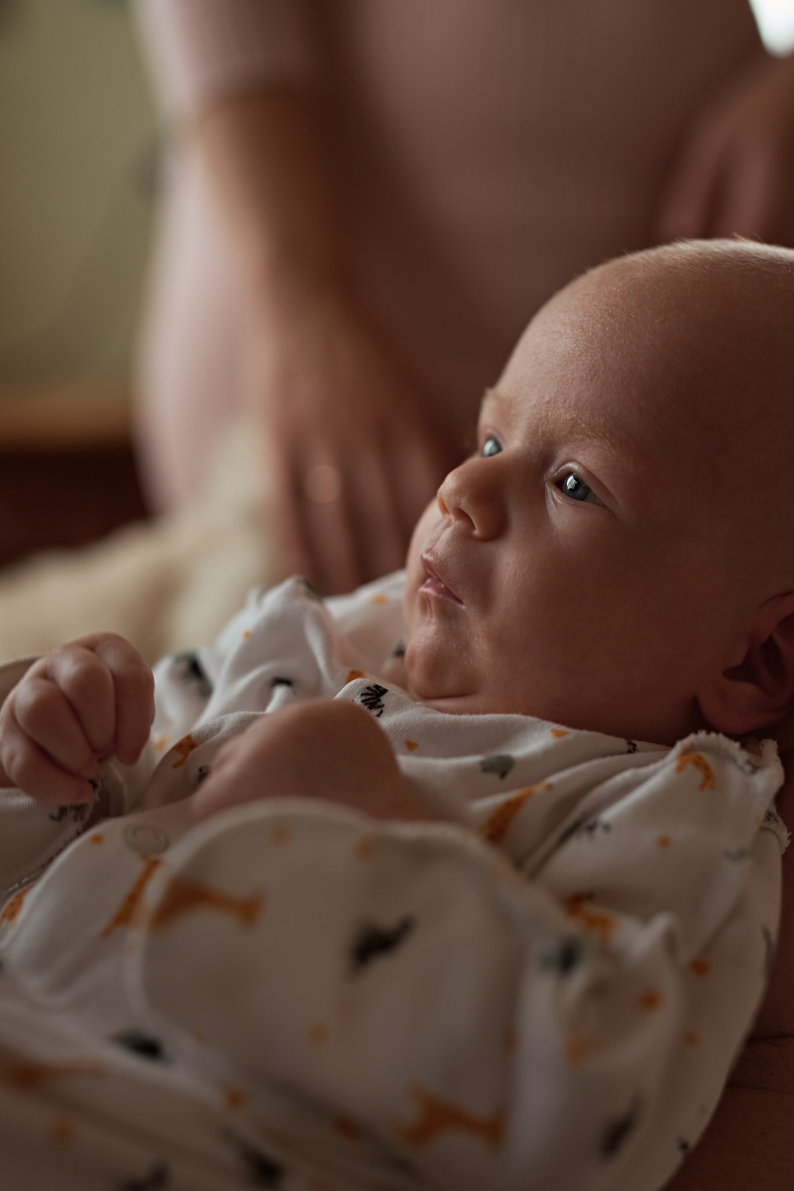 NewBorn. Семейный фотограф Новороссийск, Анапа, Геленджик Мария Колесниченко