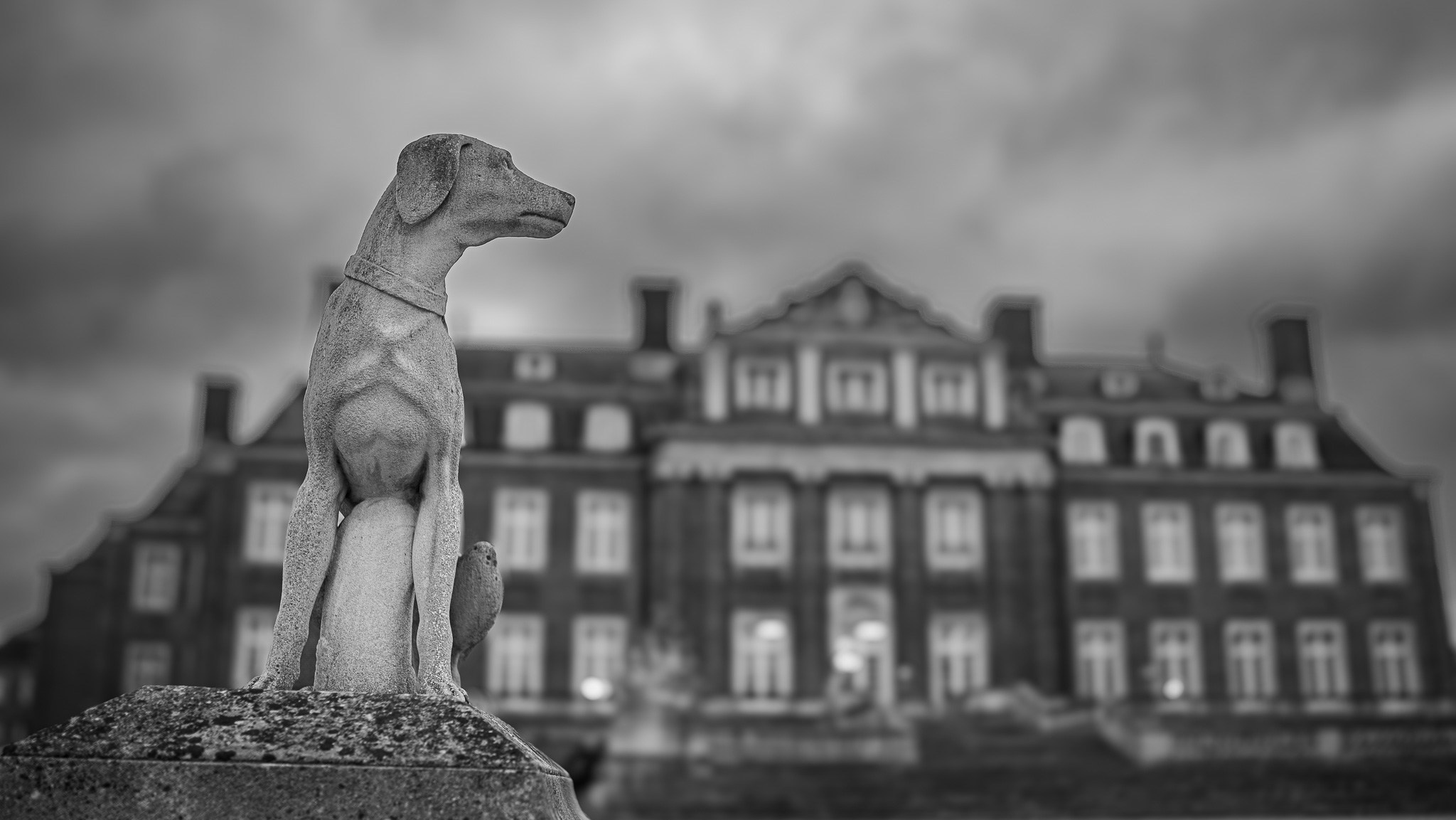 Творческие фото. Профессиональная фото- и видеосъёмка в Германии