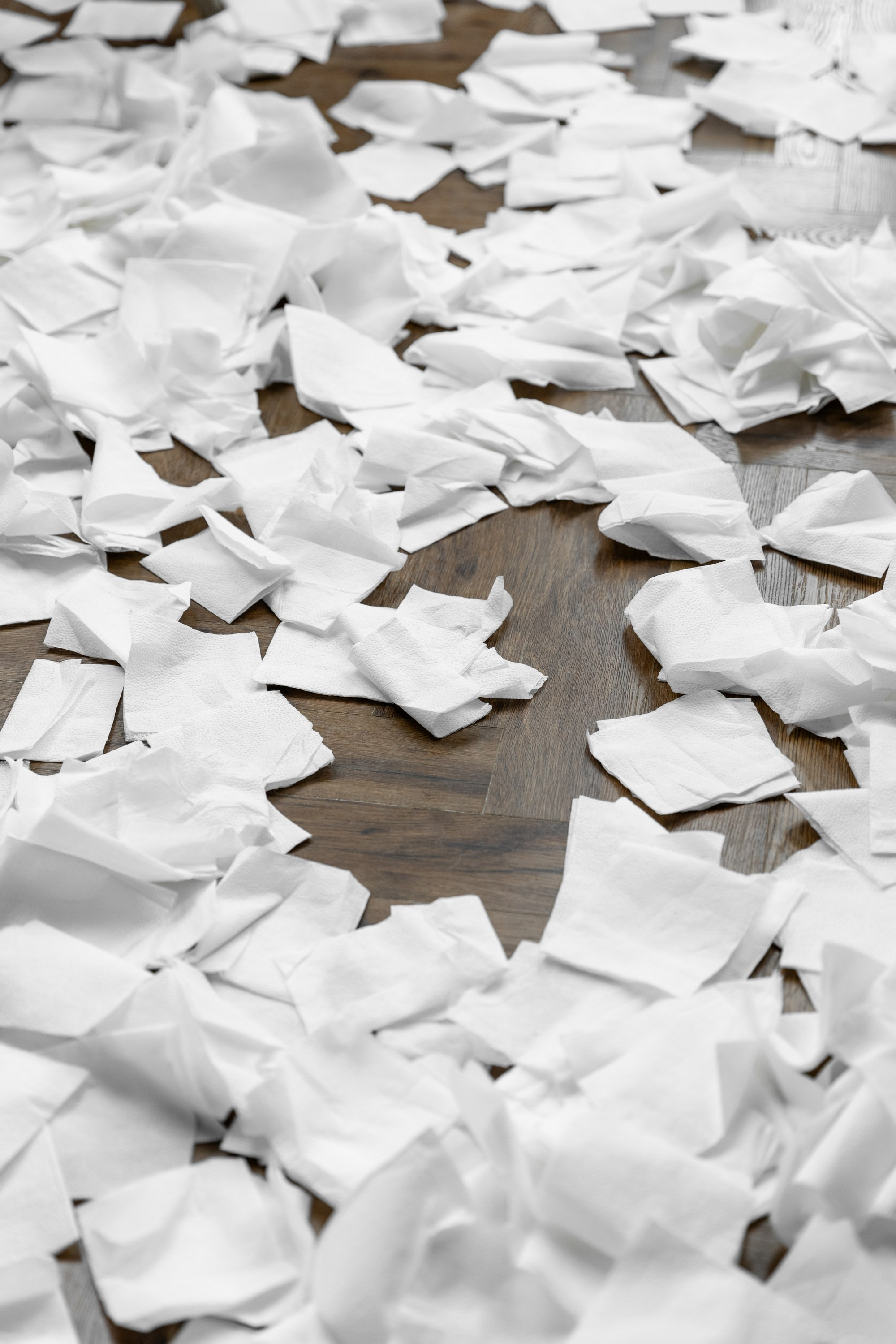 День рождения (Iliadiz). Татьяна Чернышова свадебный фотограф Москва