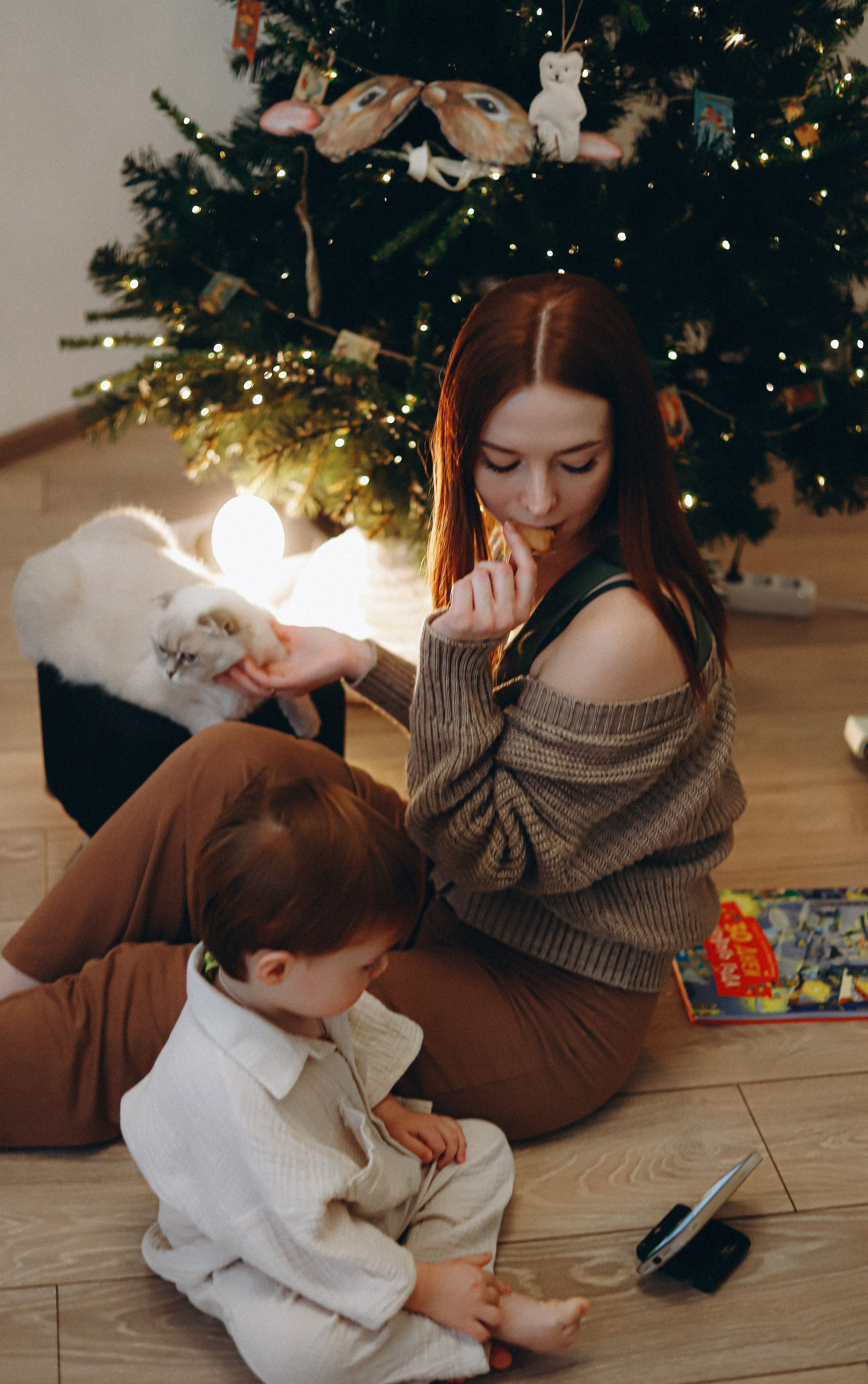 Домашняя новогодняя история. Алексей+Ксения+Дима. Услуги