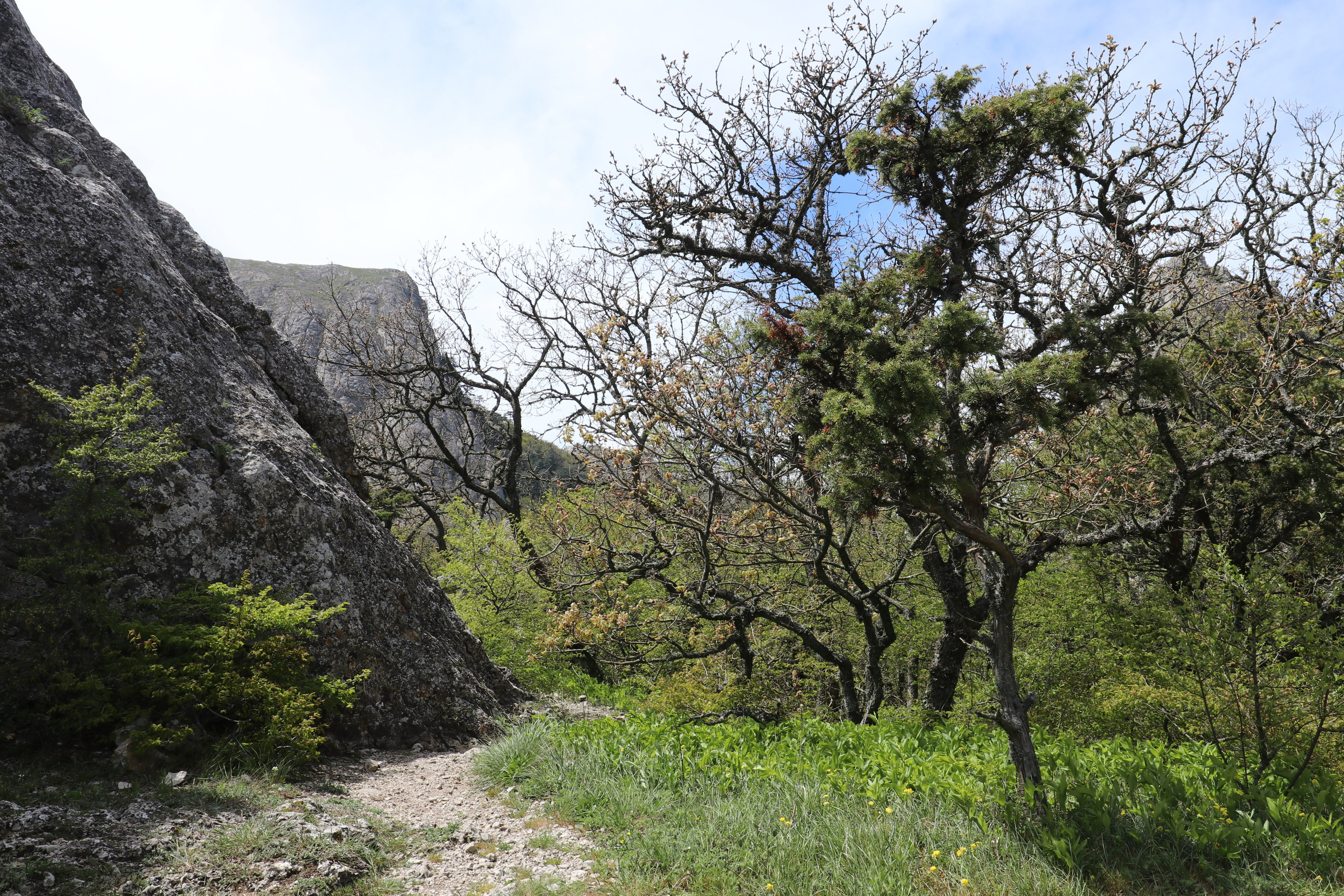 Крым. ЮБК (Севастополь, Кастрополь, Ялта). Май 2023. Путешественник-фотограф из Санкт-Петербурга Татьяна Свистулина
