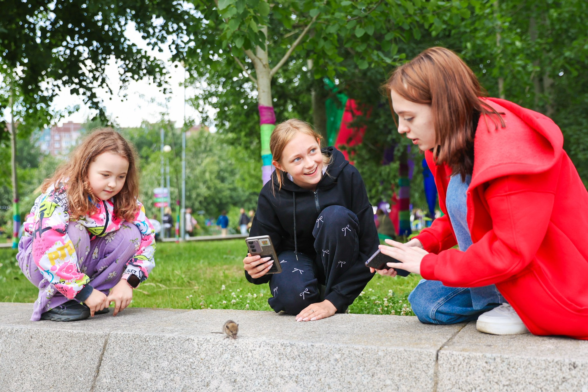 VK fest 25. Фотограф Дарья Попова