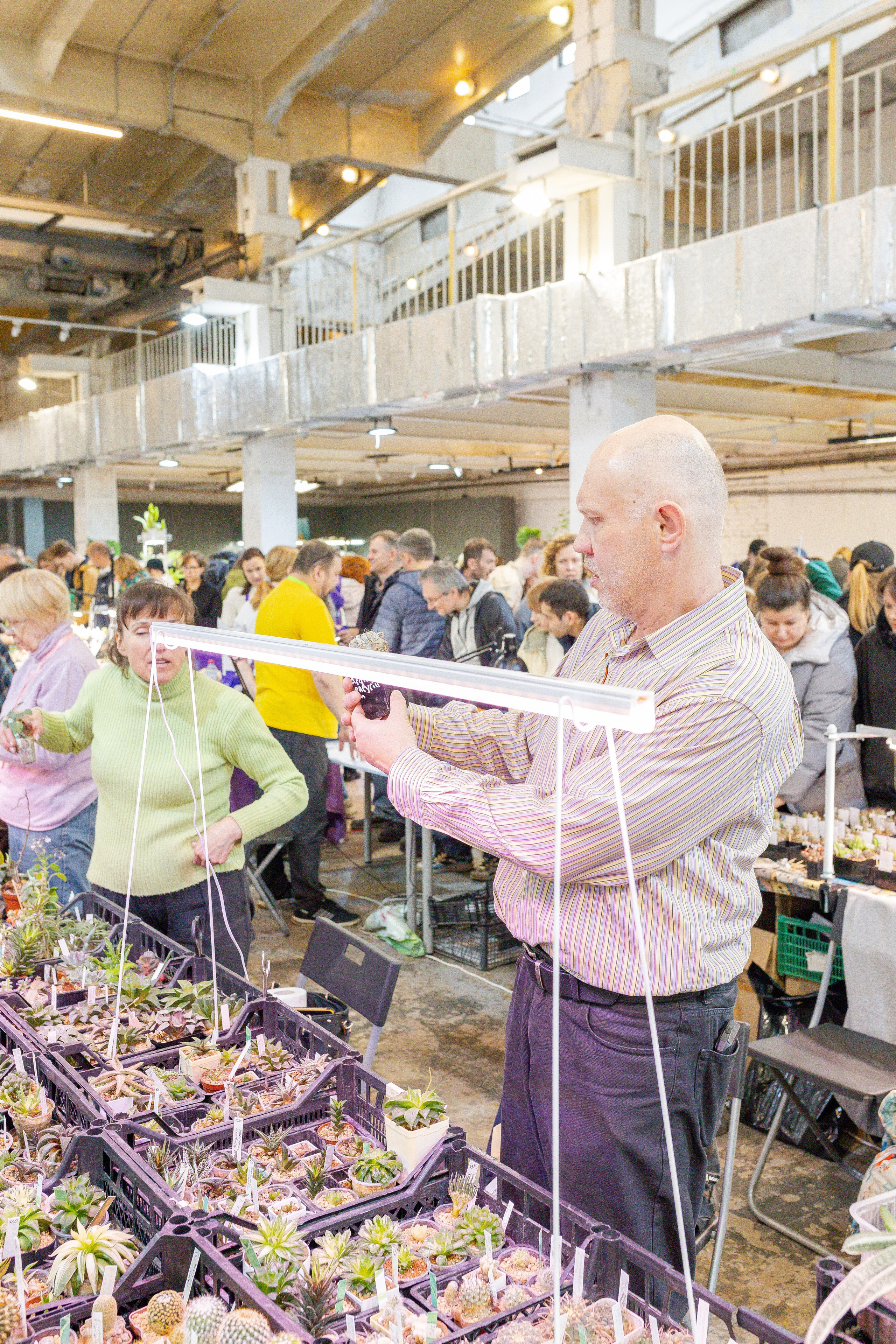 Кактус Фест. Александра Куликова фотограф, Москва