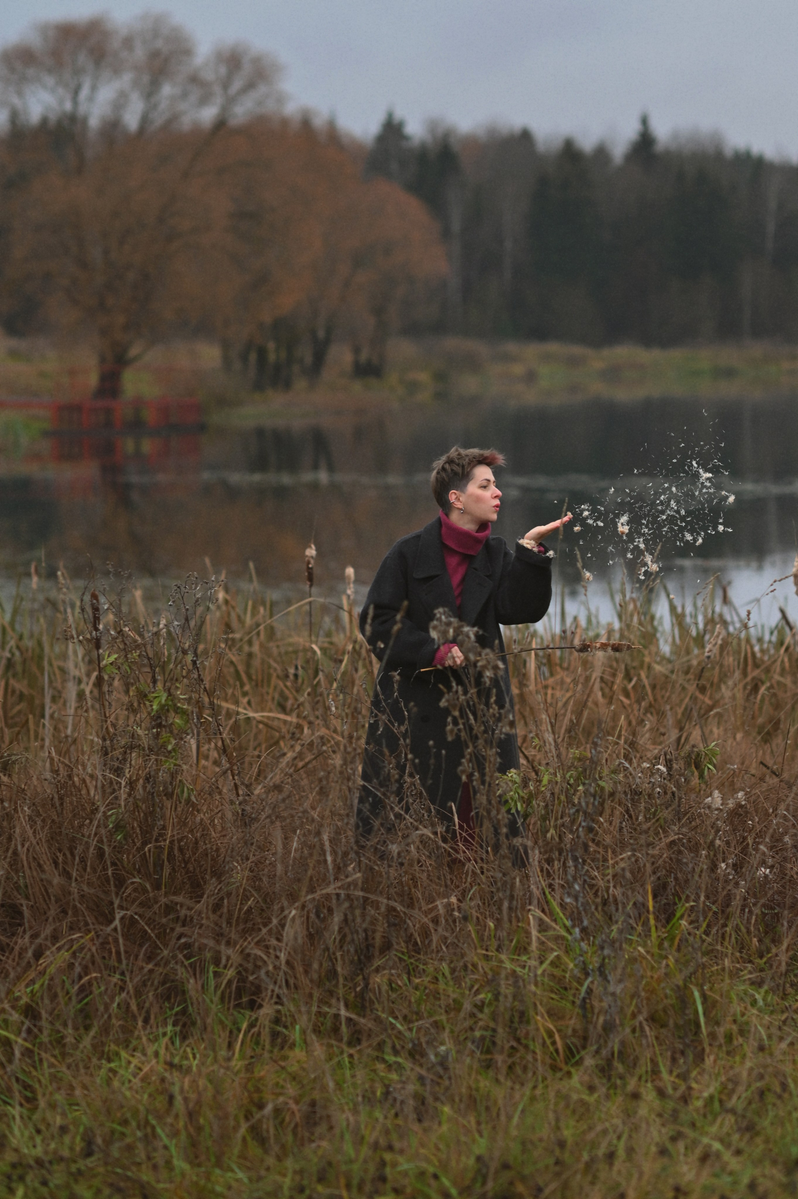 Ноябрь. Фотограф Альбина Вакунова