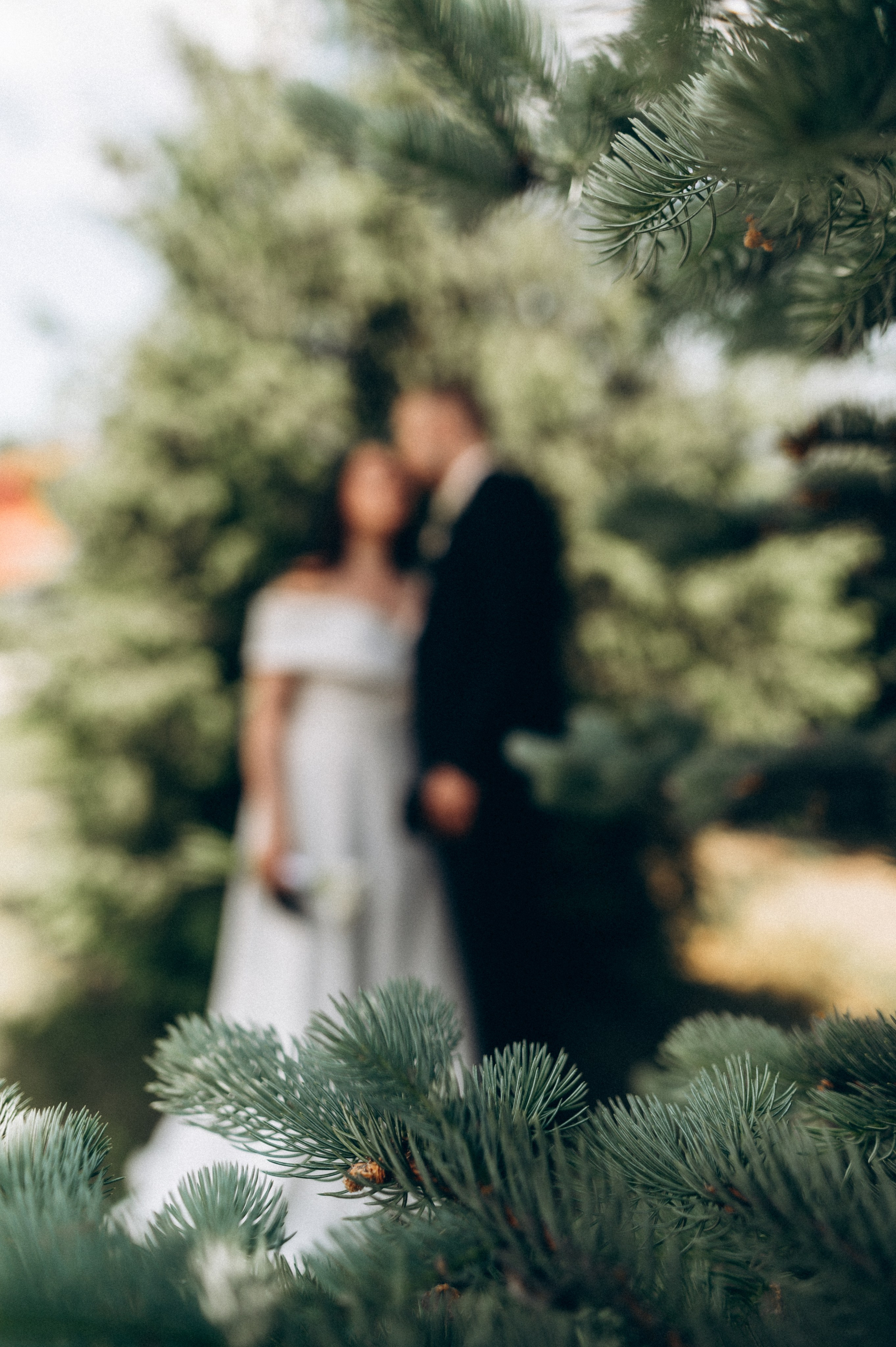 Свадьба Александра+Никита (полный день). Фотограф ПИТЕР СПБ Надежда Баранова