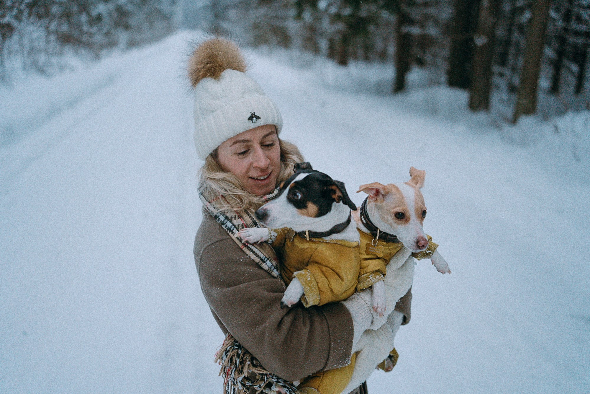 Алина, Ваниль и Элис. Фотограф анималист в Москве и Санкт-Петербурге Свиридова Анна