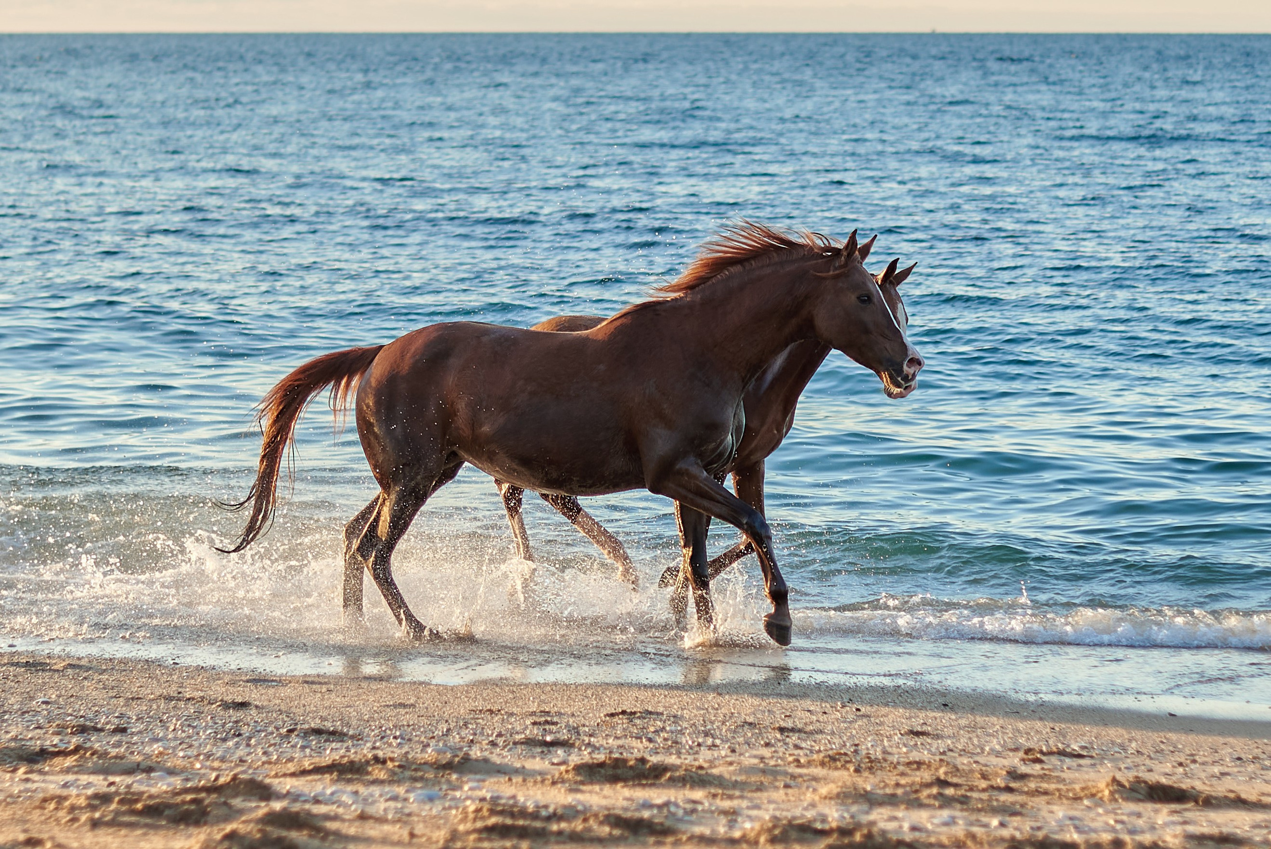 Галактика и Кассиопея. Фотограф в Севастополе