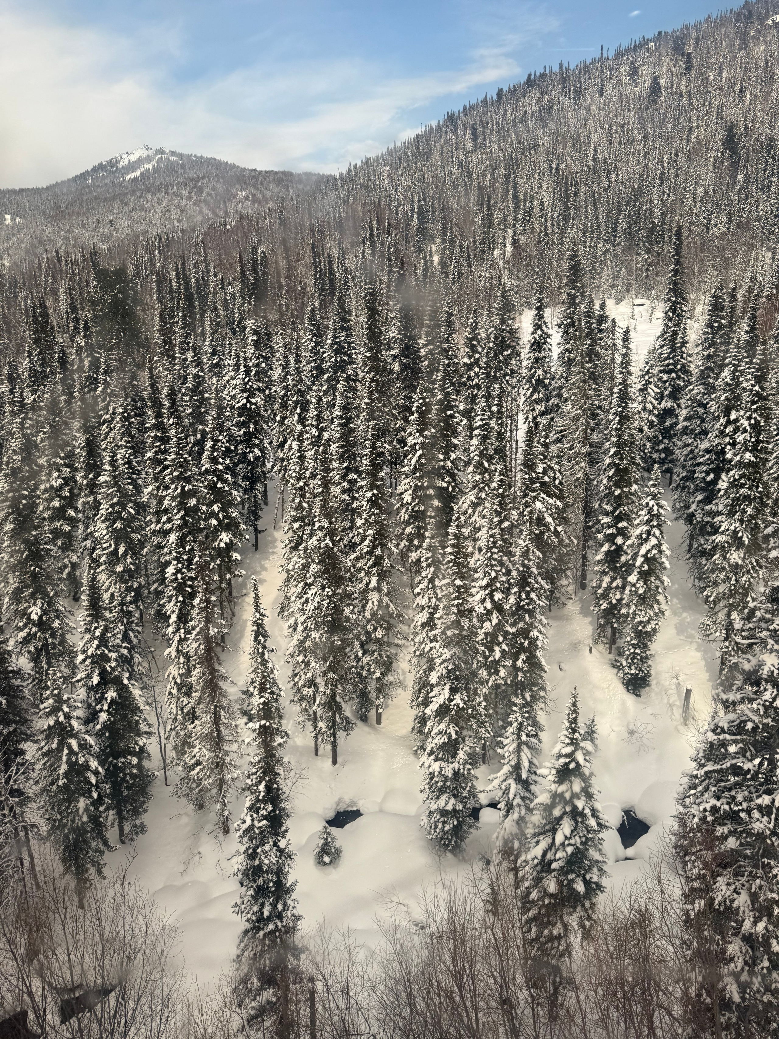 Фотограф Москва. Фотограф и художник в Москве Евгения Нюнина