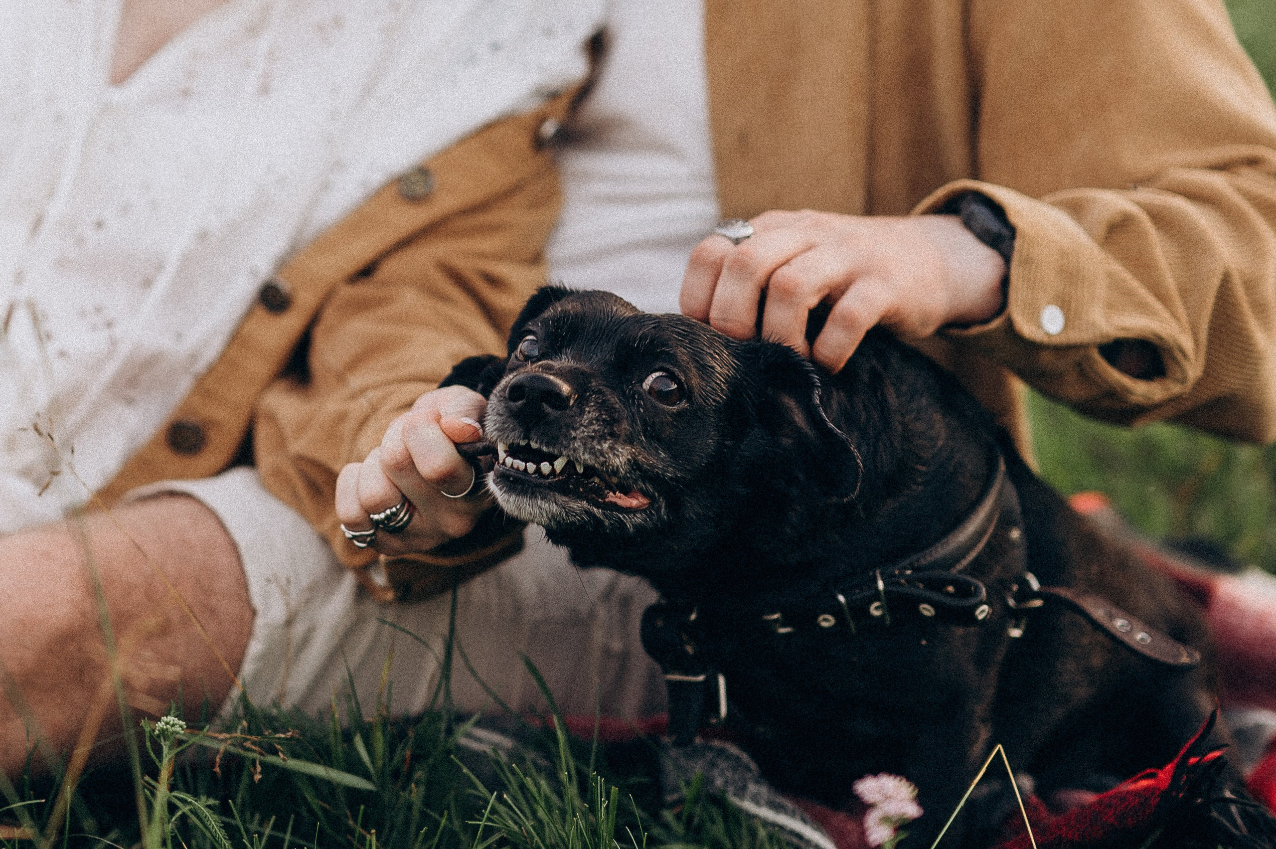 Вика и Слава. Семейный и свадебный фотограф в Красноярске Садкеева Юлия