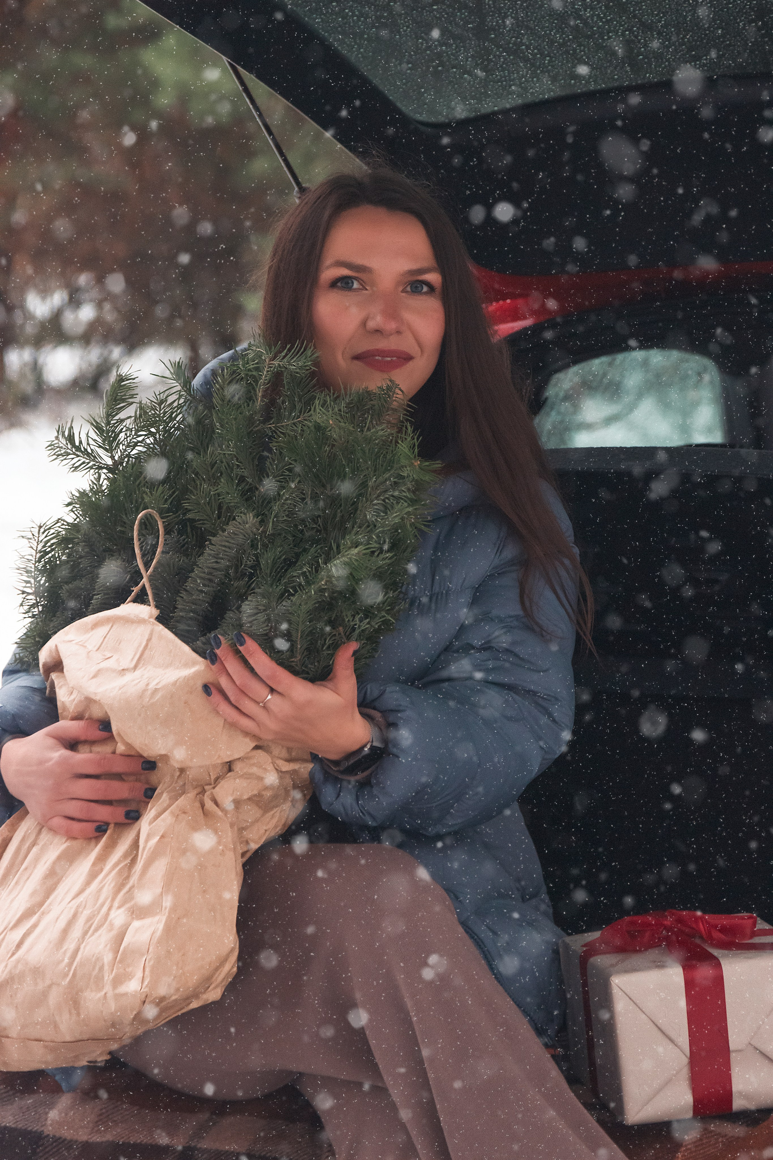 Новогодний красный жук. Фотограф Ольга Бобб Нижний Новгород