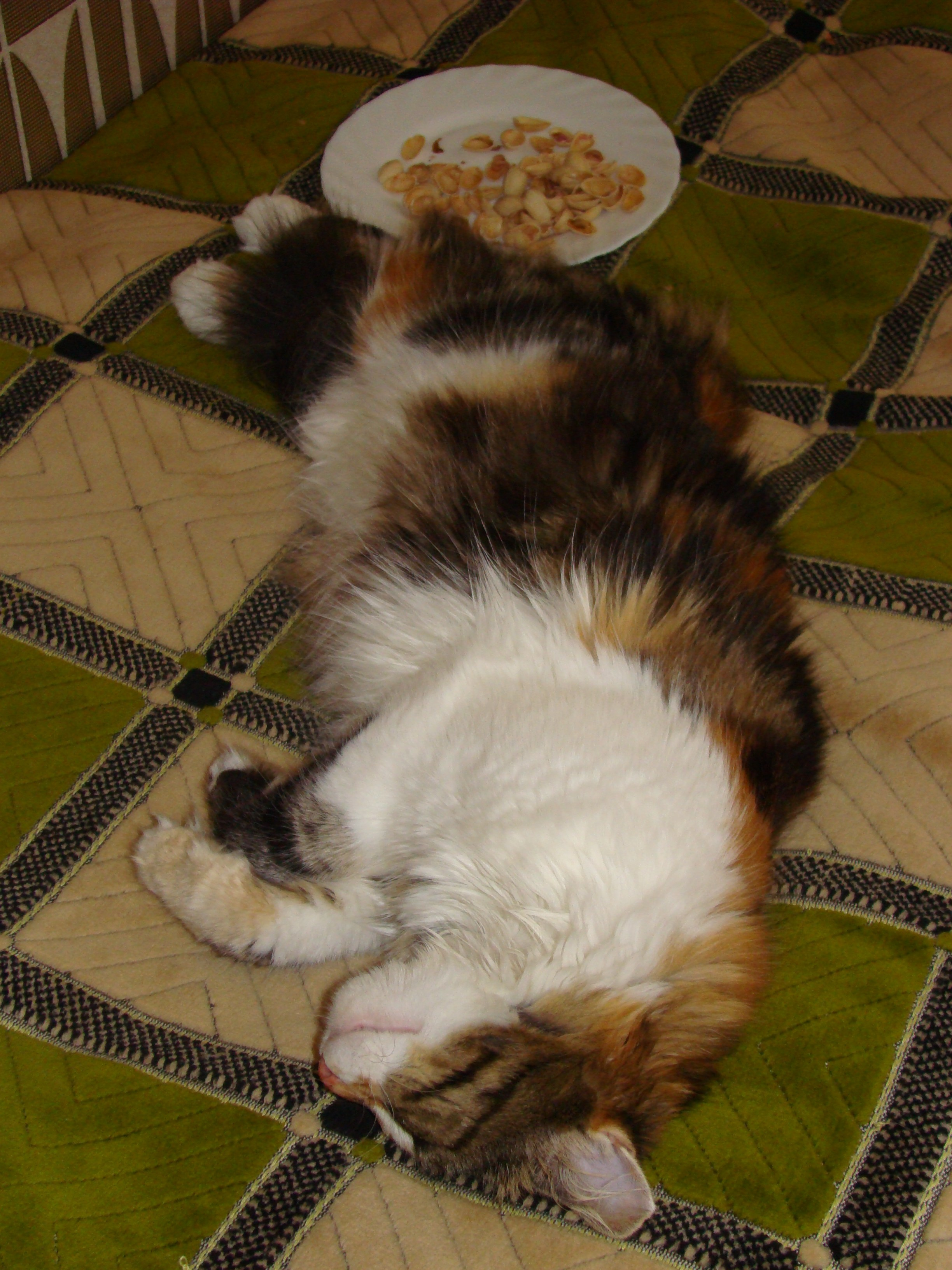 Кабардинка (фото Зевиных) 25.06-24.07.2008. Семейный, Свадебный фотограф СПБ Питер— Романова Екатерина