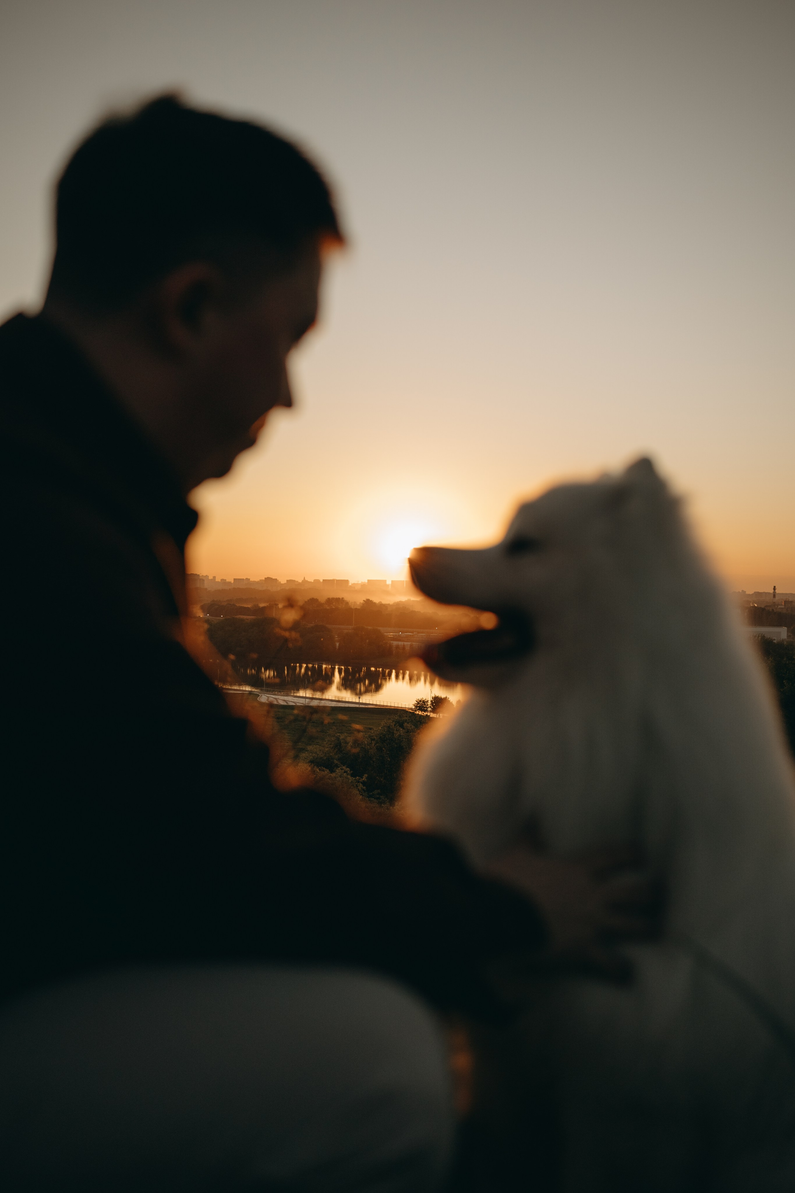 Танго и его семья. Фотограф — Анималист | Санкт-Петербург