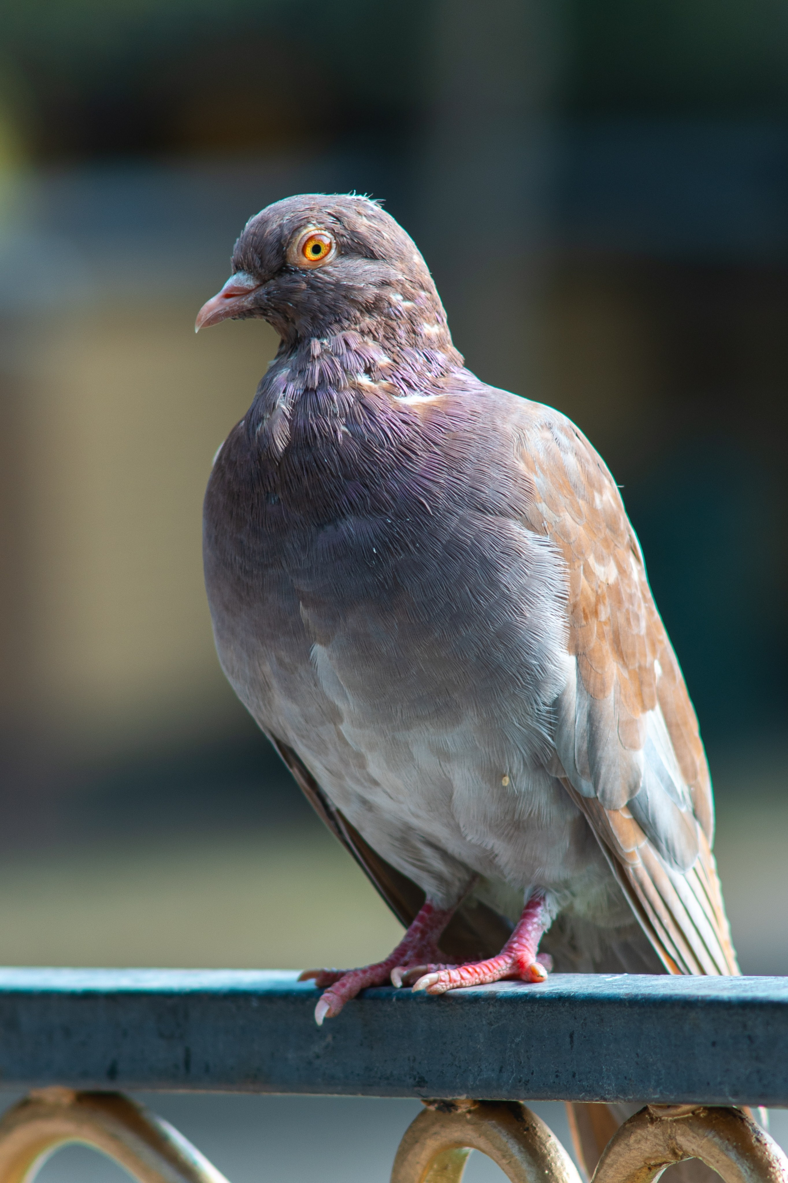 Как я собрал «Монстра» из ретро-оптики Tokina 200 mm f/3.5 и протестировал её на современной Canon R6 Mark II. Коммерческий и репортажный фотограф в Алматы — Jora Abramov
