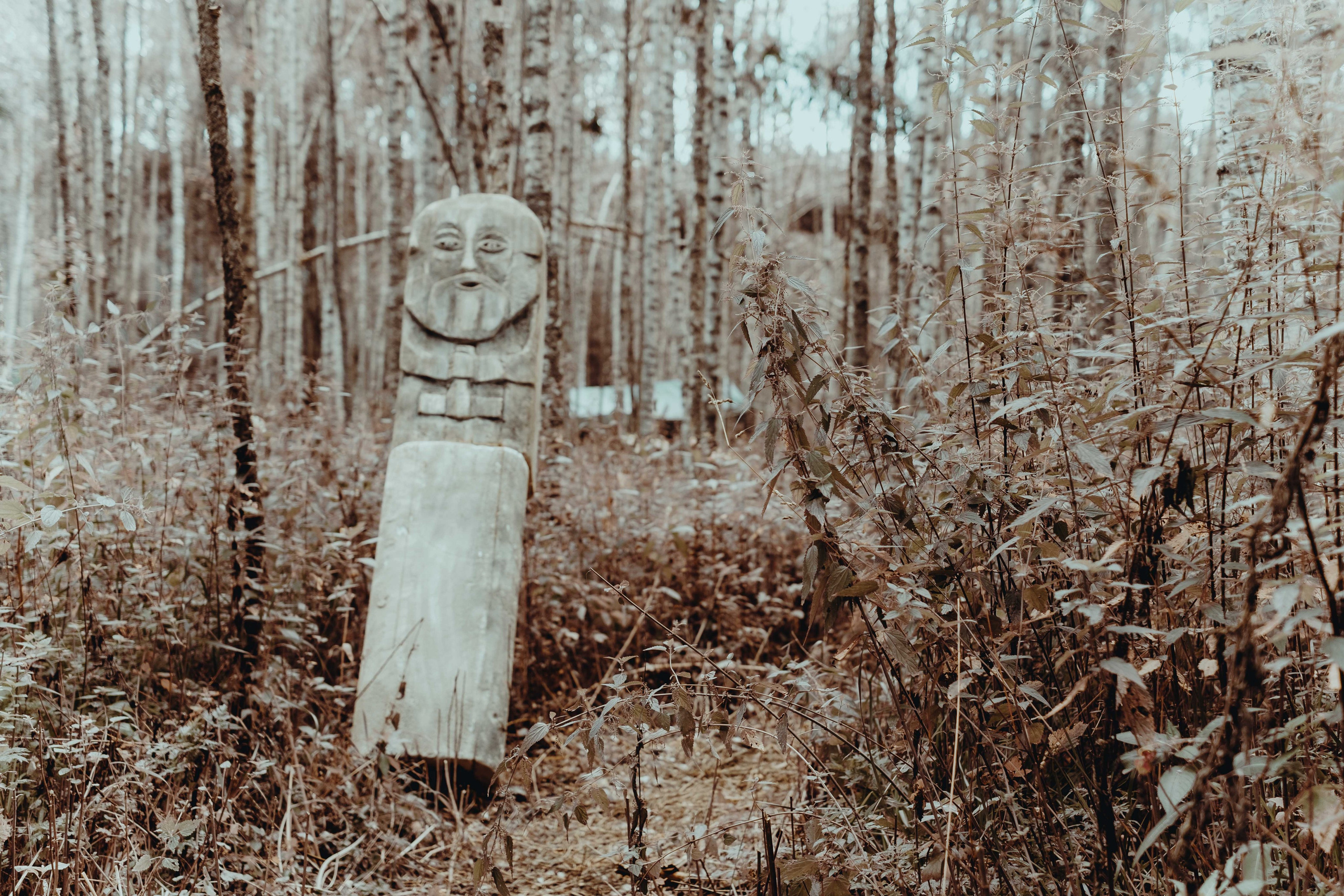 Отряд: эпоха Кометы. Фотограф Аннё| Москва