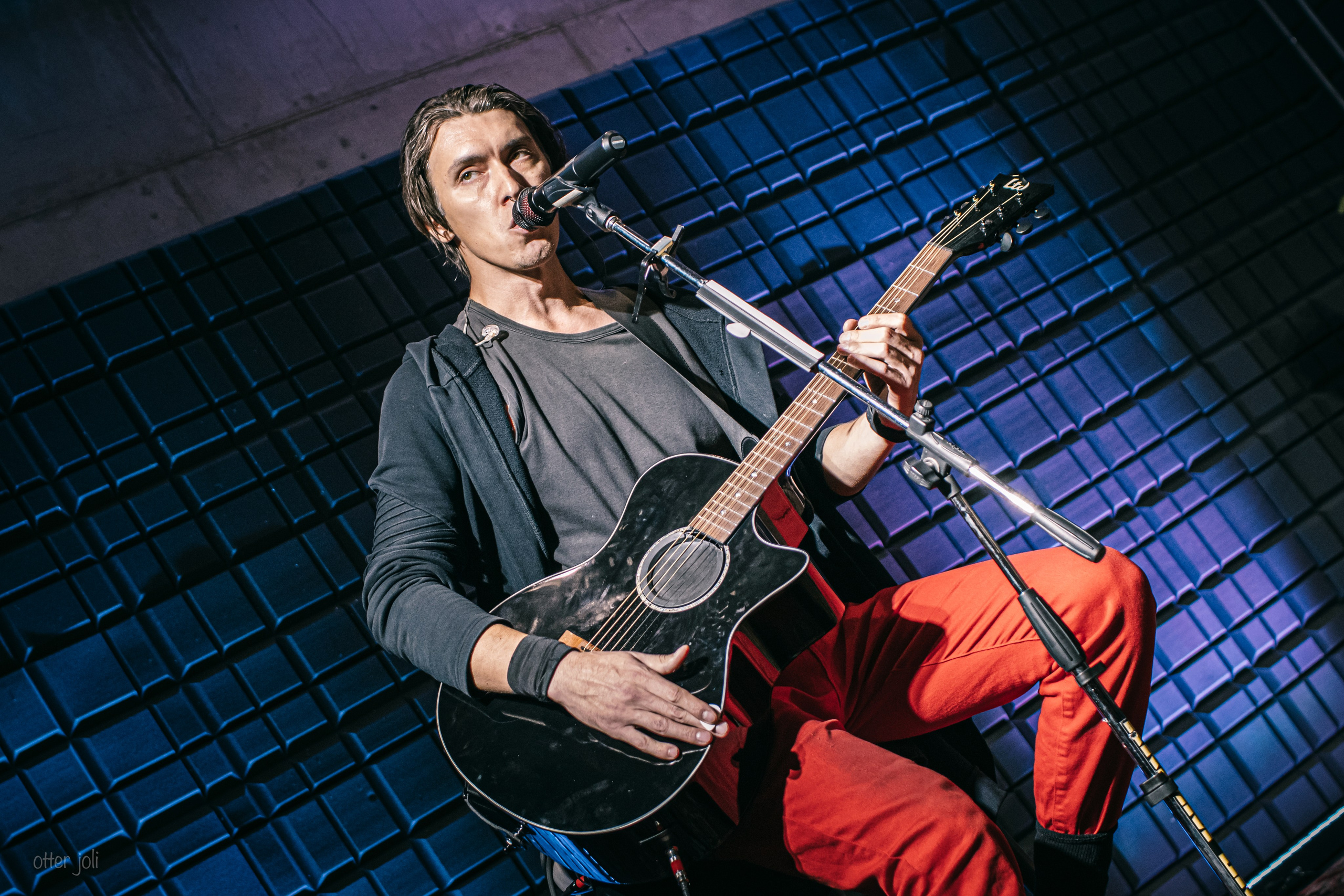 STREET ACCORDION. Концертный репортёр Валерия Сафина