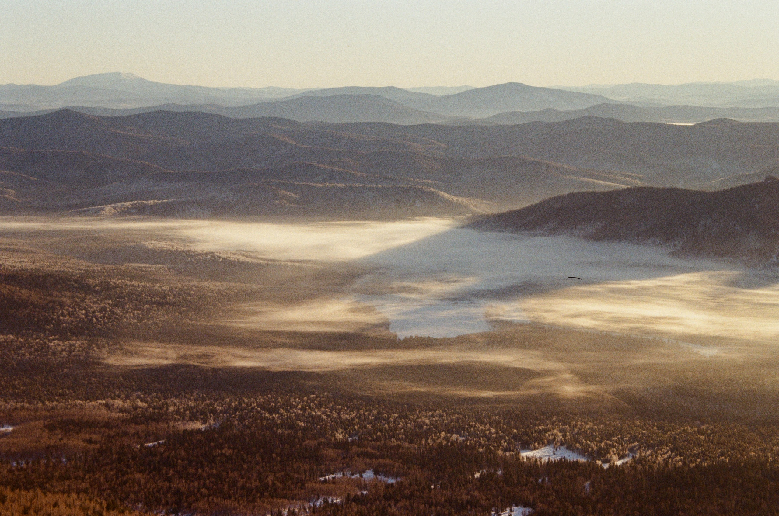 Пленка. Главная