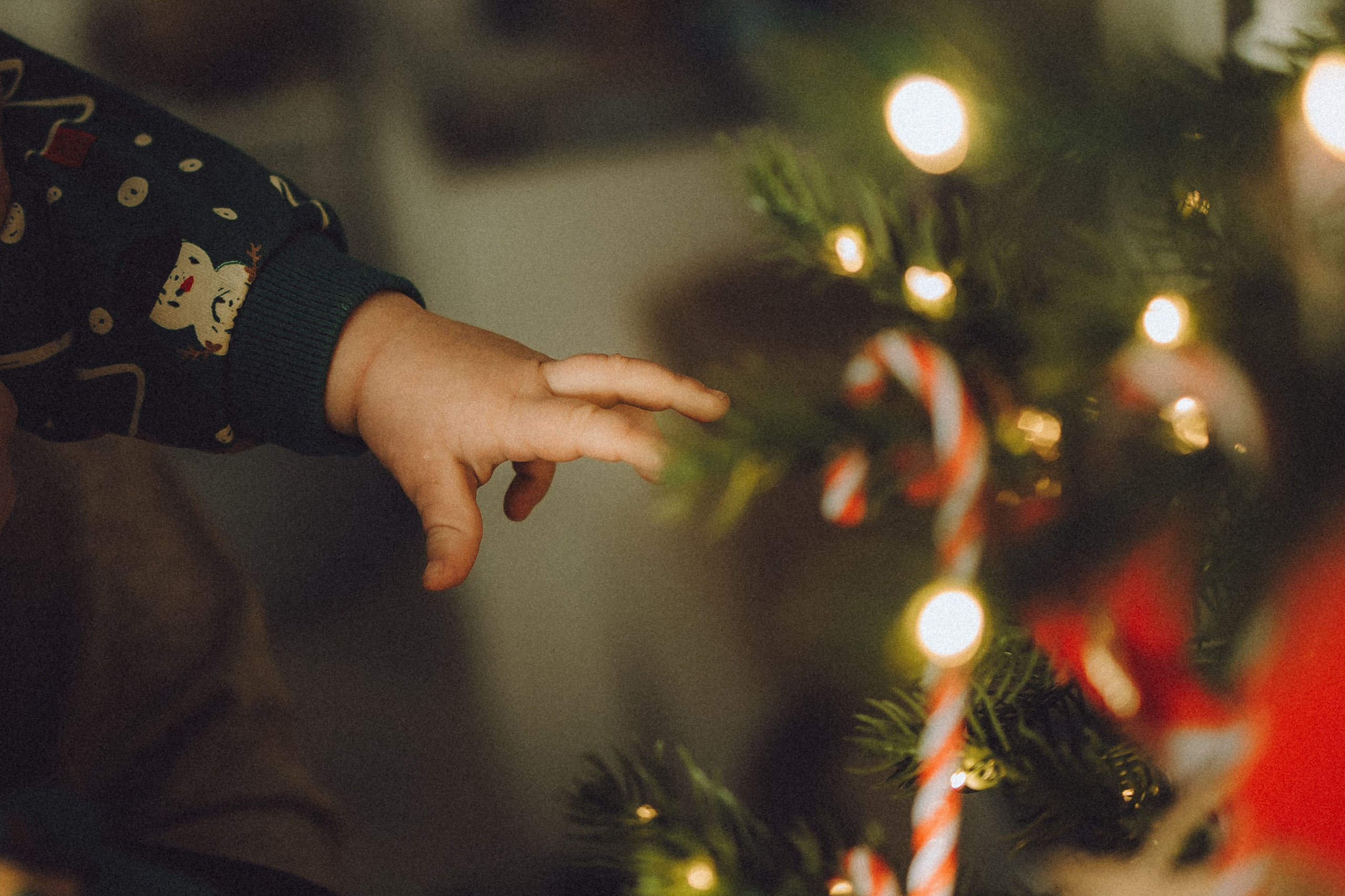 Топик и его семья